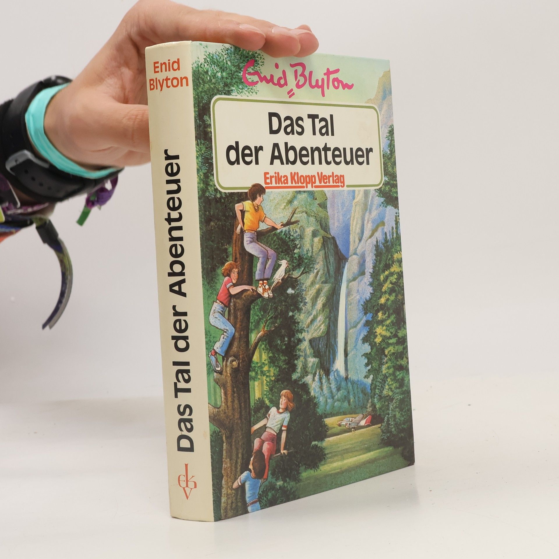 Enid Blyton Das Tal der Abenteuer