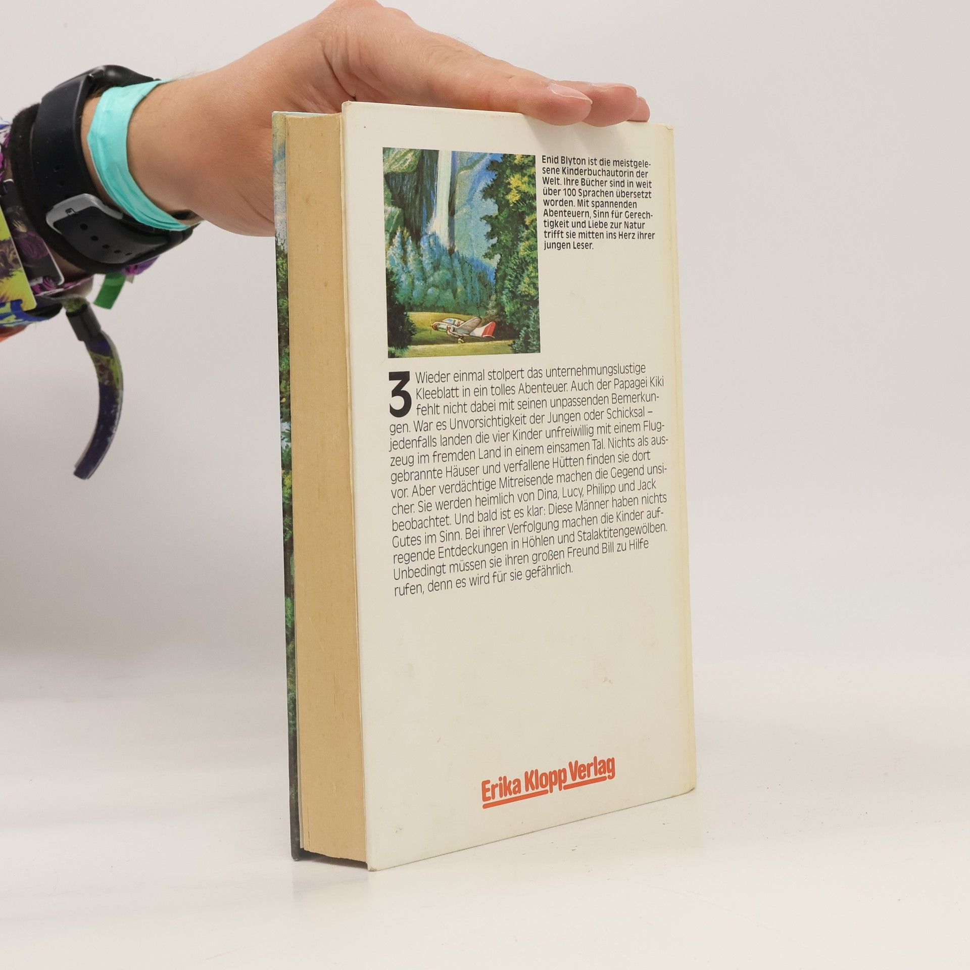 Enid Blyton Das Tal der Abenteuer