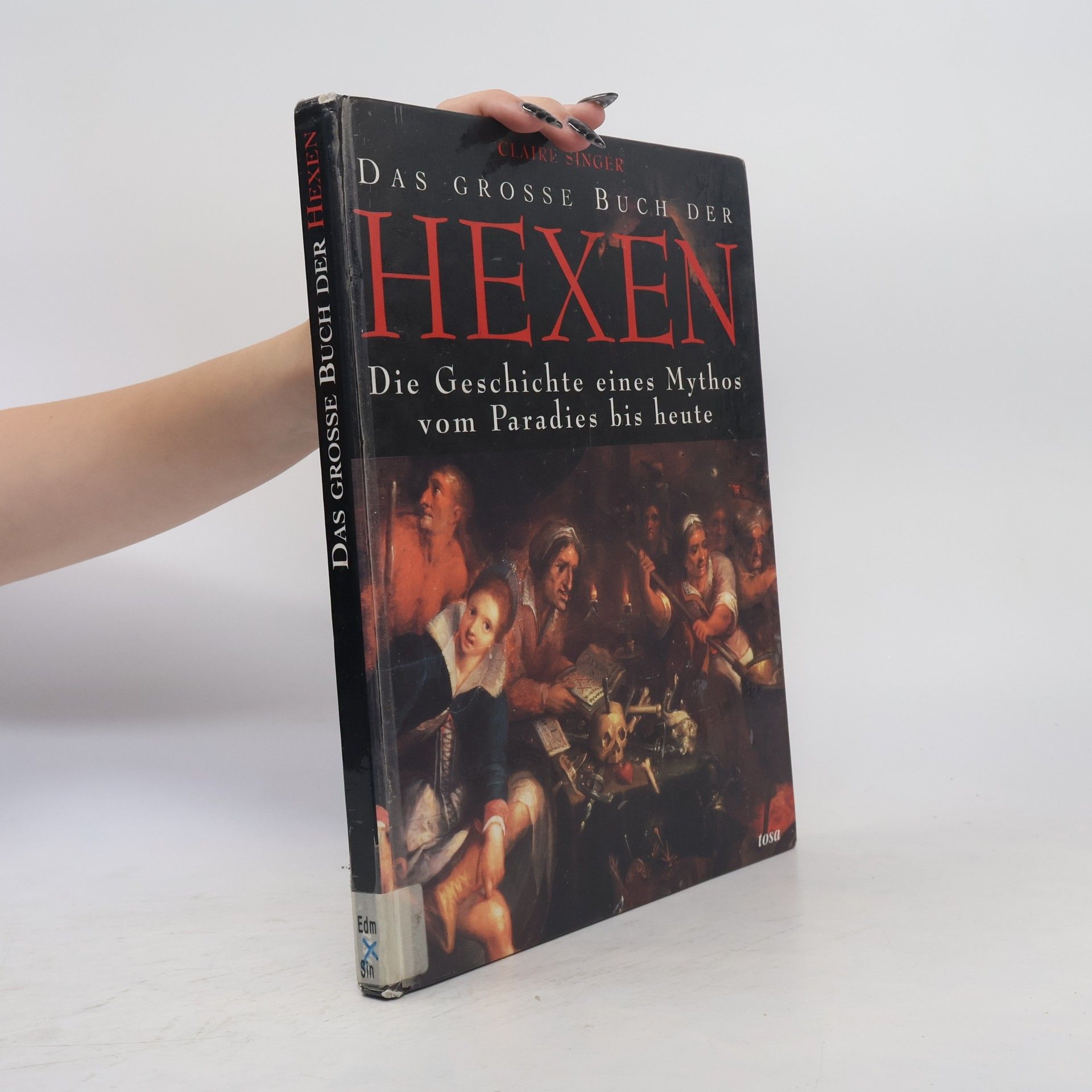Claire Singer Das grosse Buch der Hexen