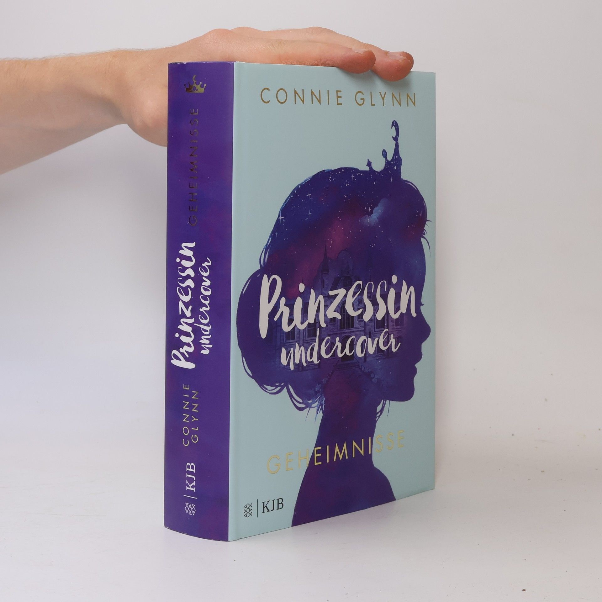 Connie Glynn Prinzessin undercover. Geheimnisse