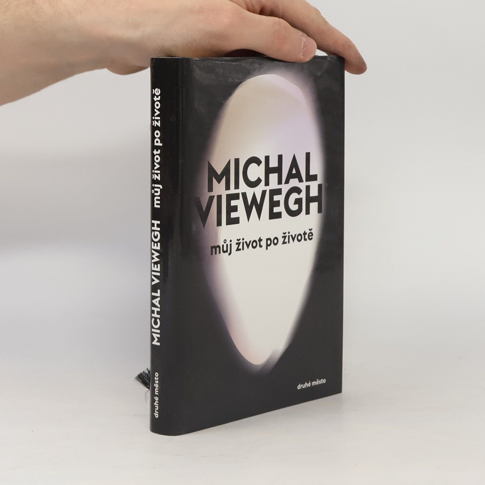 Michal Viewegh Můj život po životě