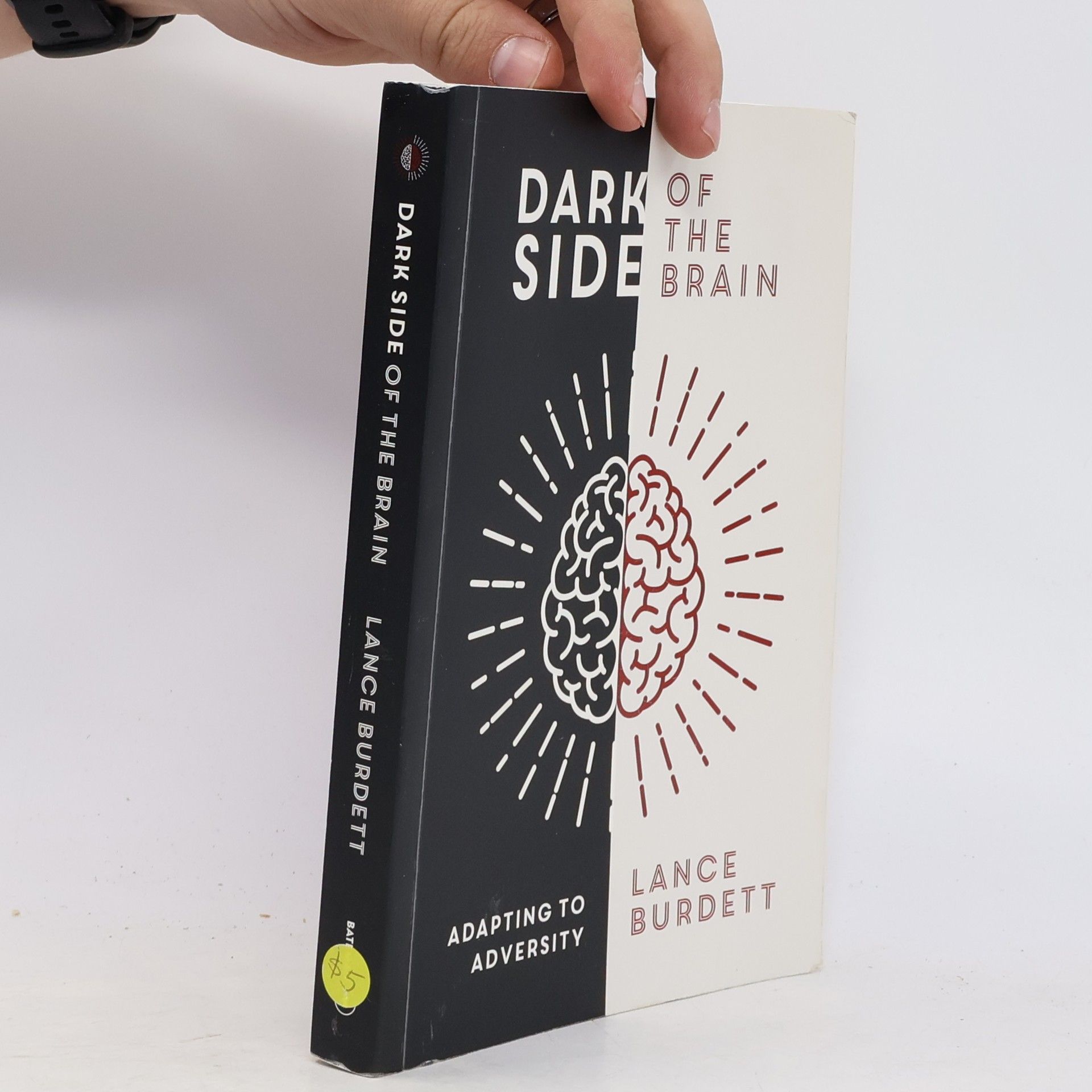 Lance Burdett Dark Side of the Brain