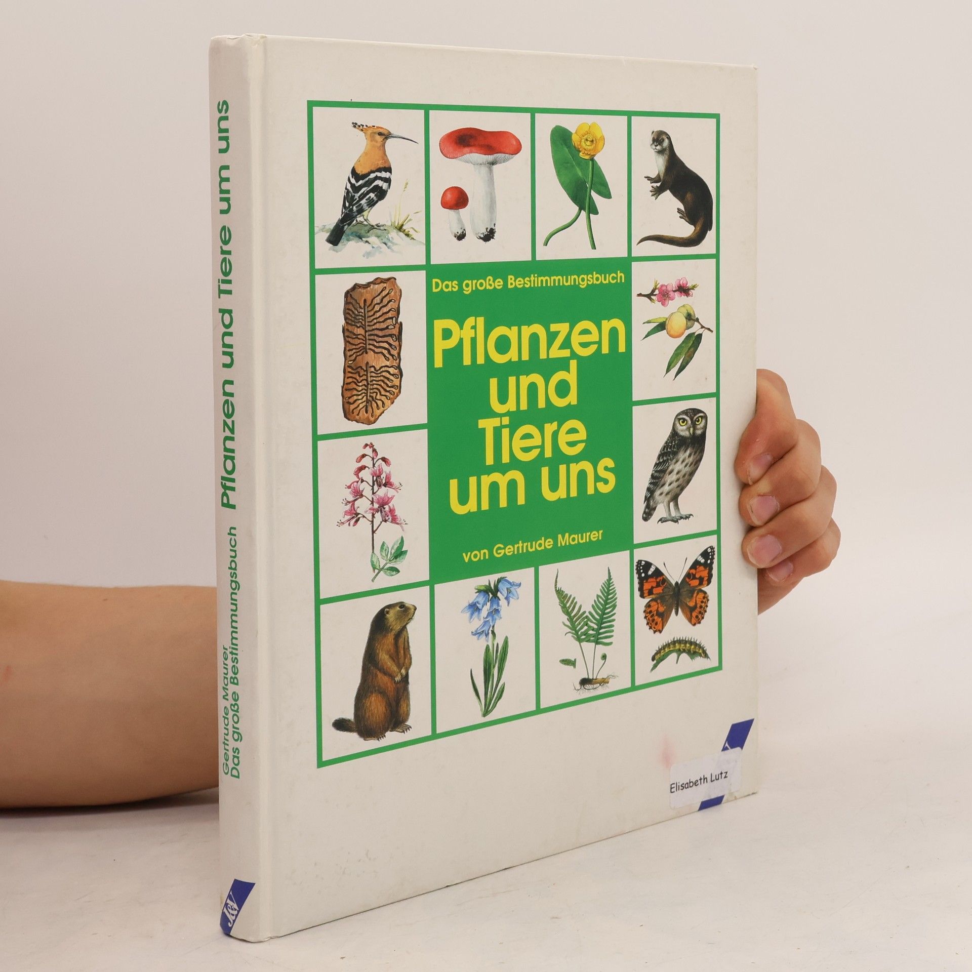 Pflanzen und Tiere um uns