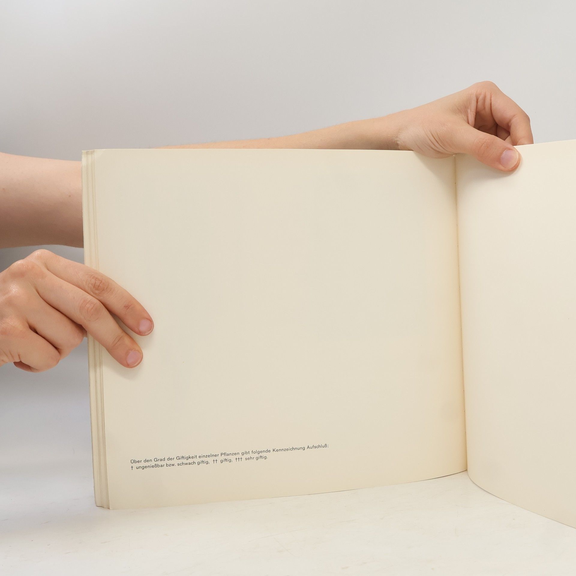 Autorenkollektiv Was wächst und blüht