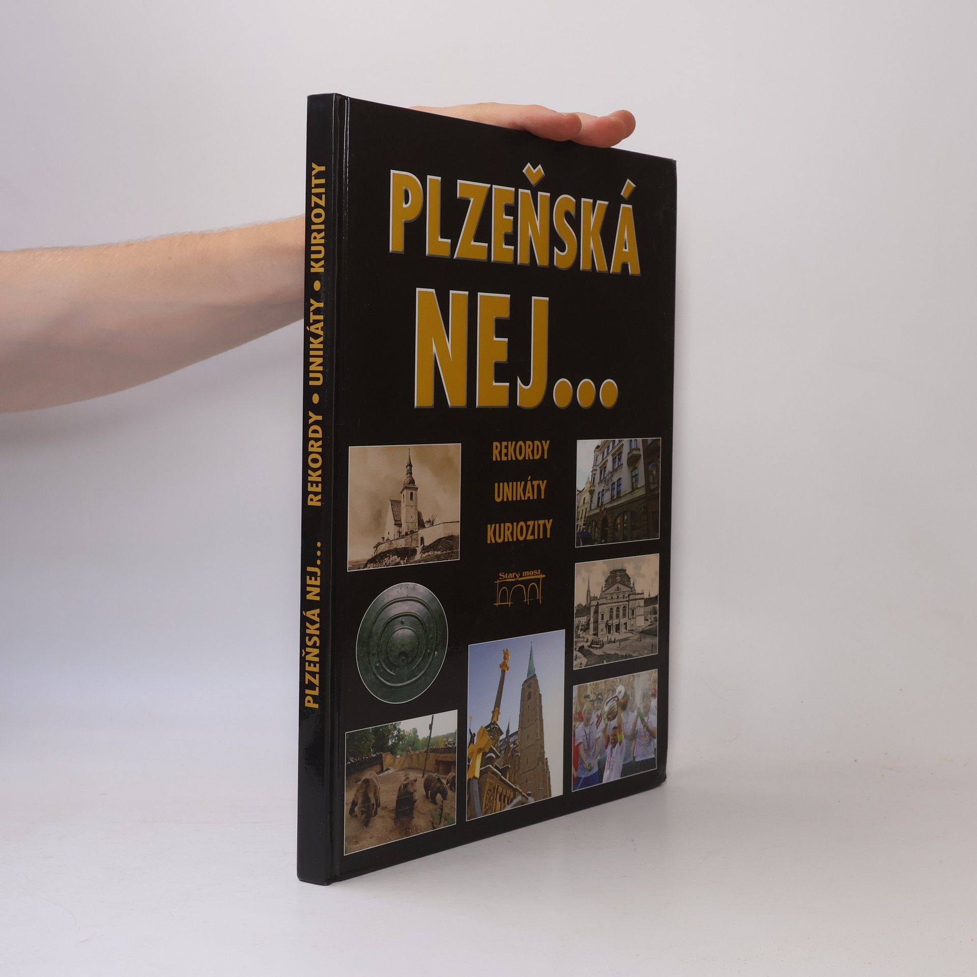Petr Flachs Plzeňská nej…