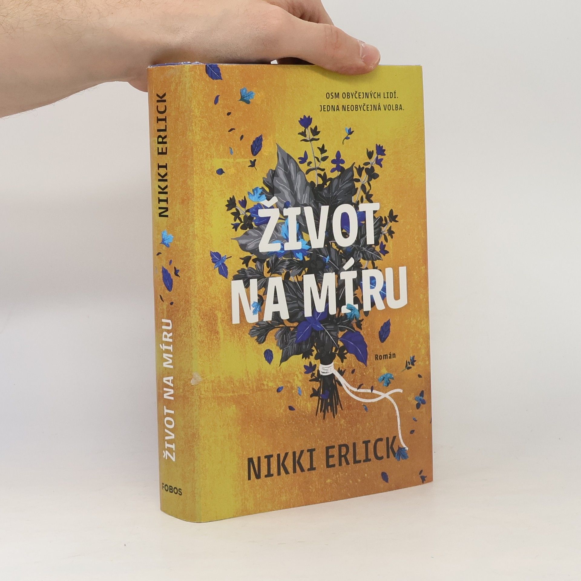 Nikki Erlick Život na míru