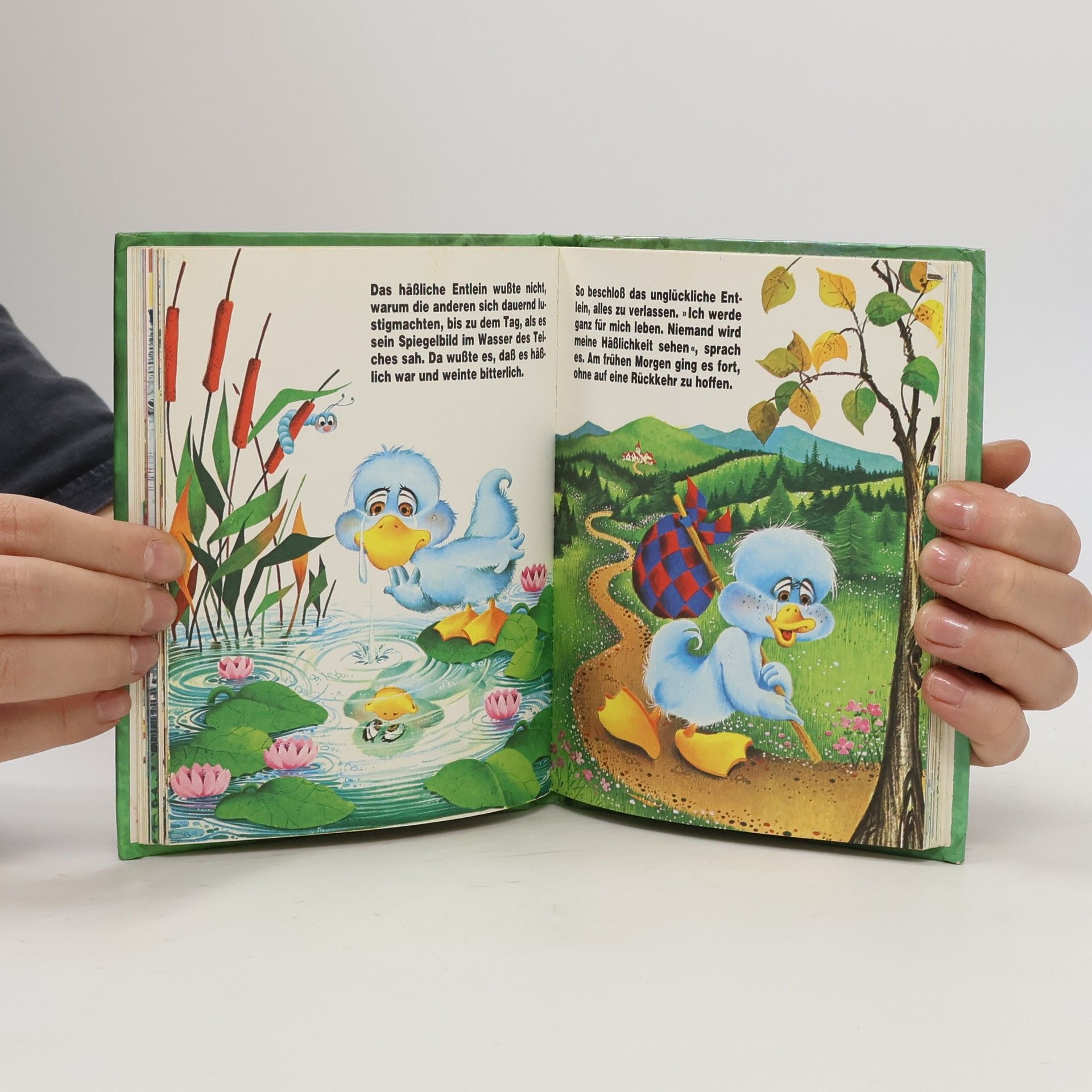 I. Flemes Mein kleines Märchenbuch 5