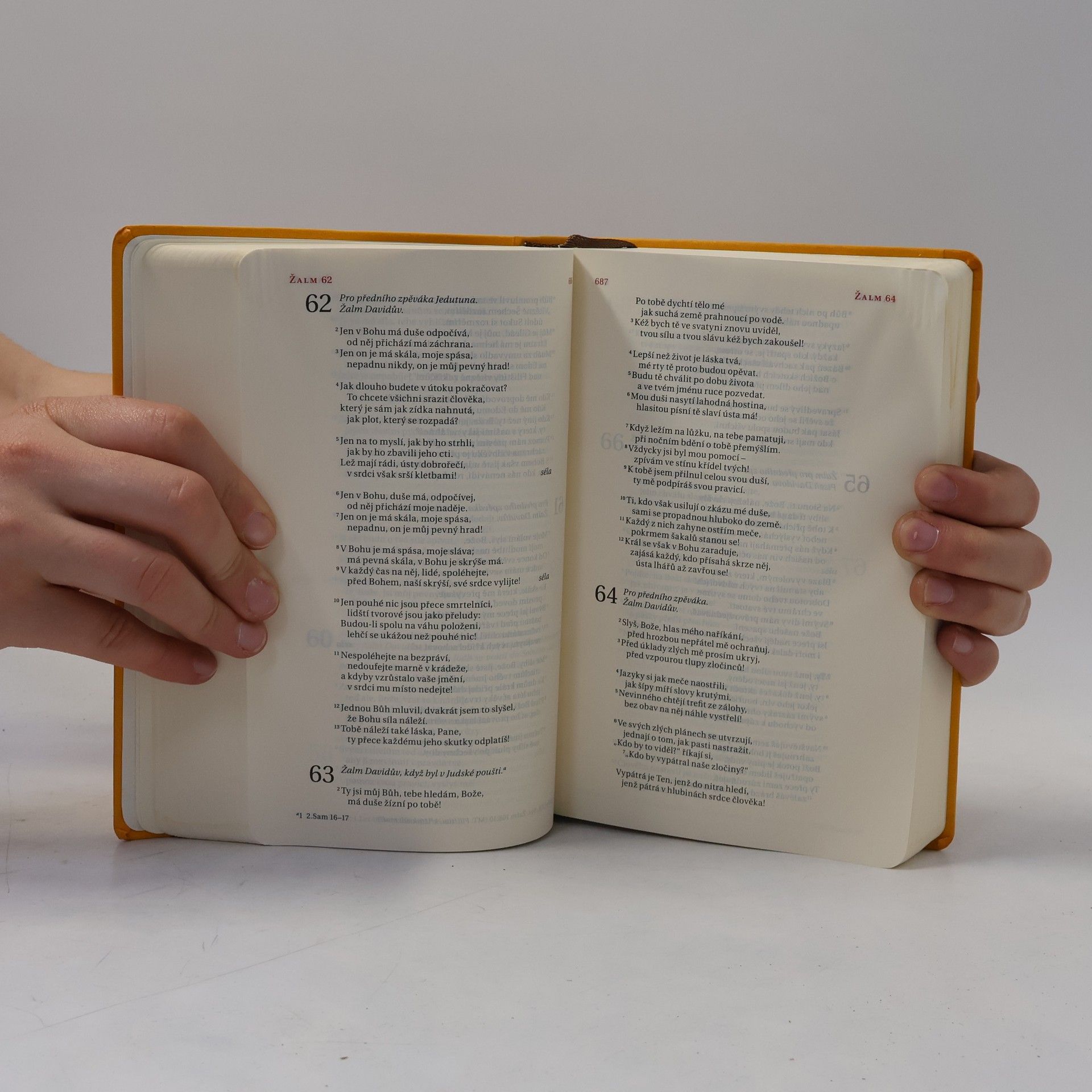 Kolektiv autorů Bible. Překlad 21. století