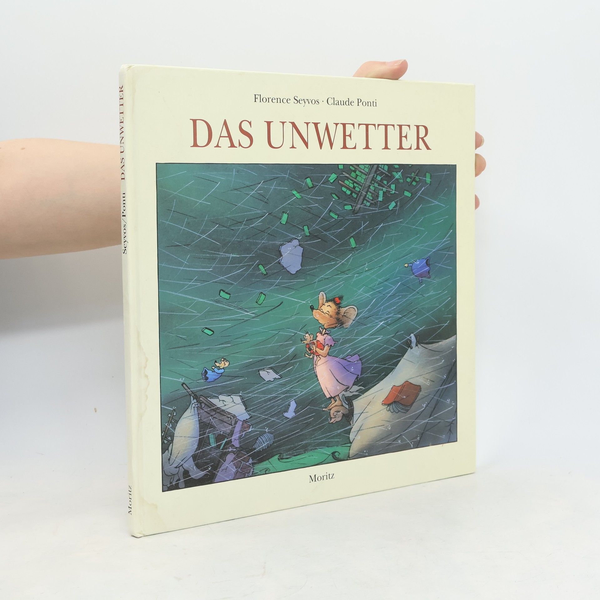 Florence Seyvos Das Unwetter