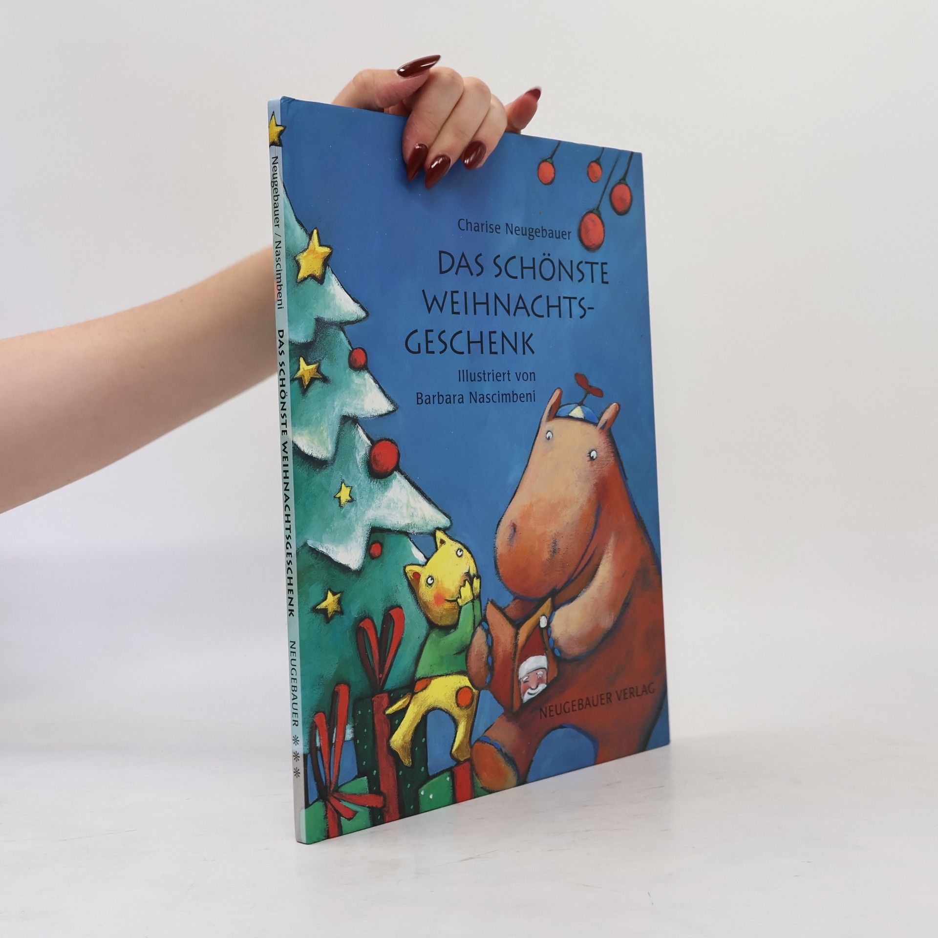 Charise Neugebauer Das schönste Weihnachtsgeschenk