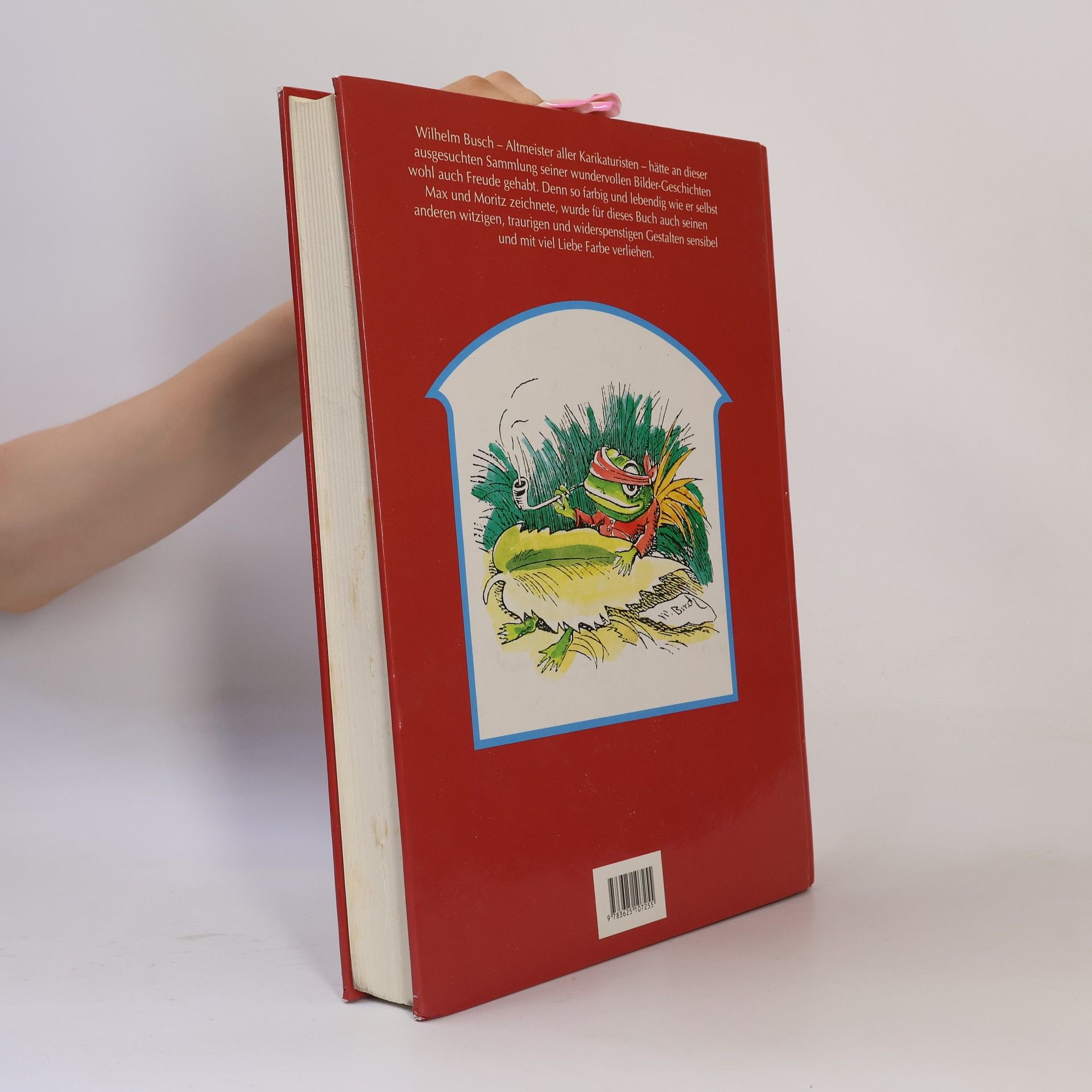Kolektiv autorů Großes Wilhelm-Busch-Buch