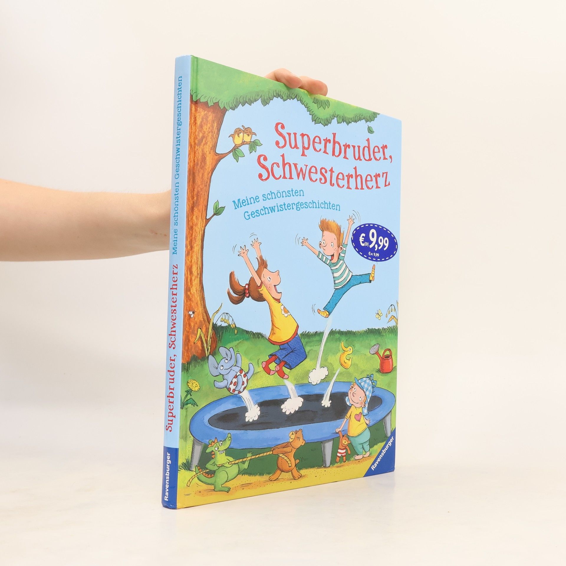 Various authors Superbruder, Schwesterherz