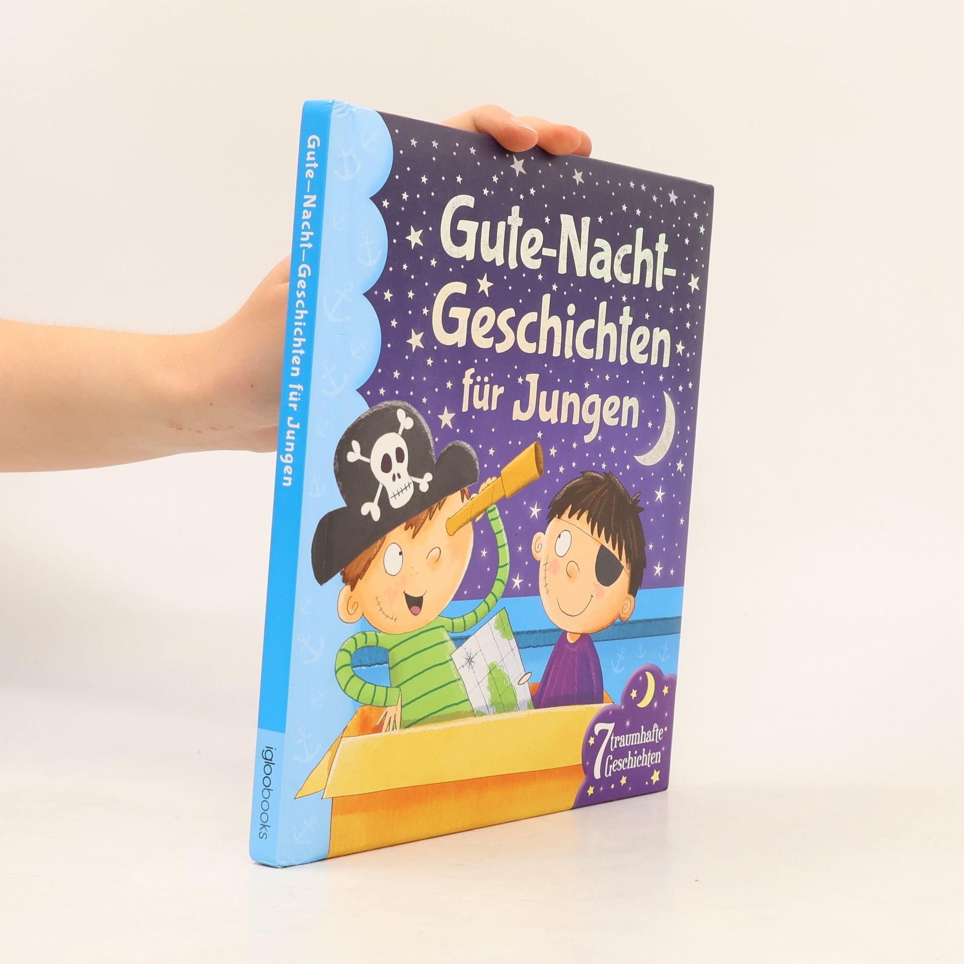 Kolektiv autorů Gute-Nacht-Geschichten für Jungen