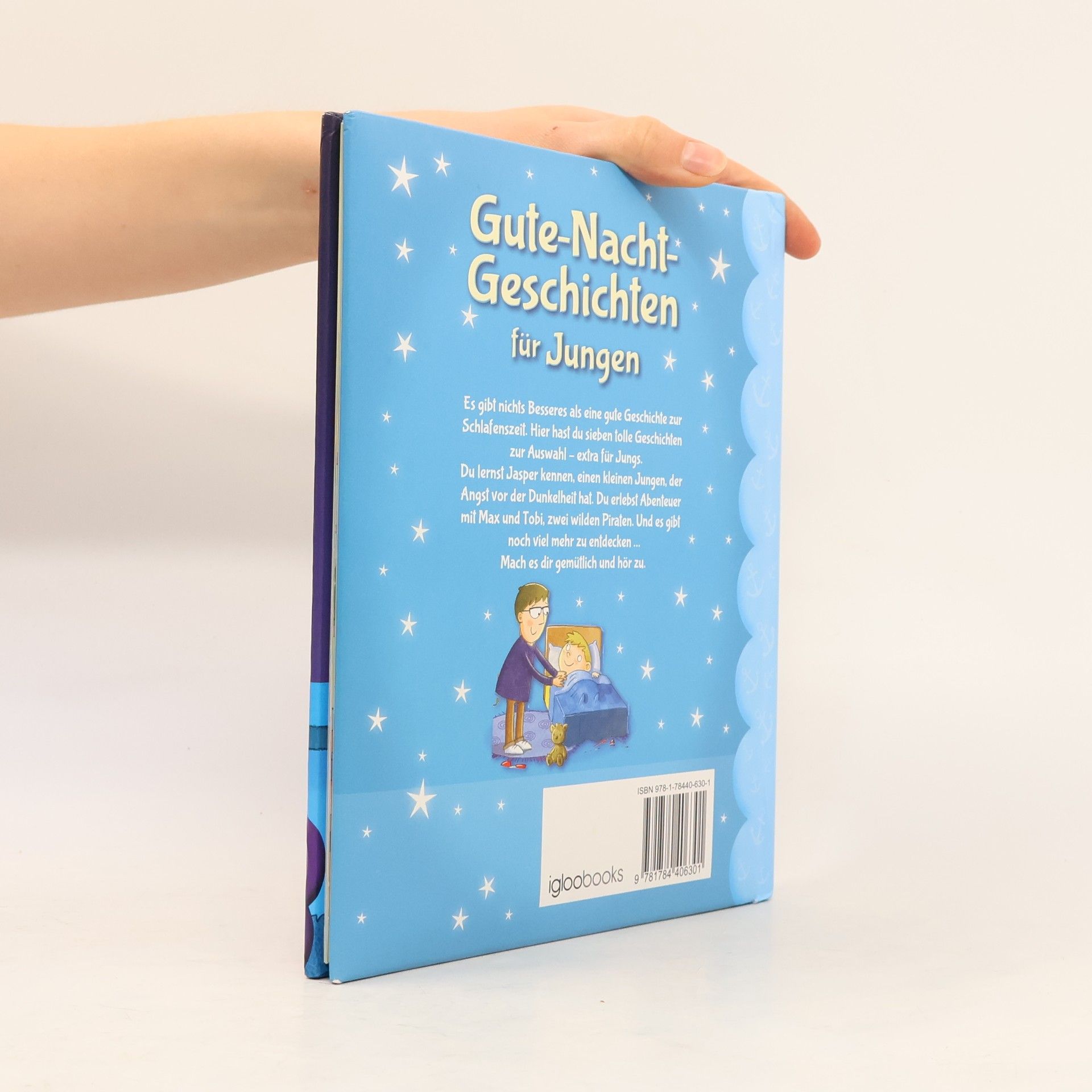 Autorenkollektiv Gute-Nacht-Geschichten für Jungen
