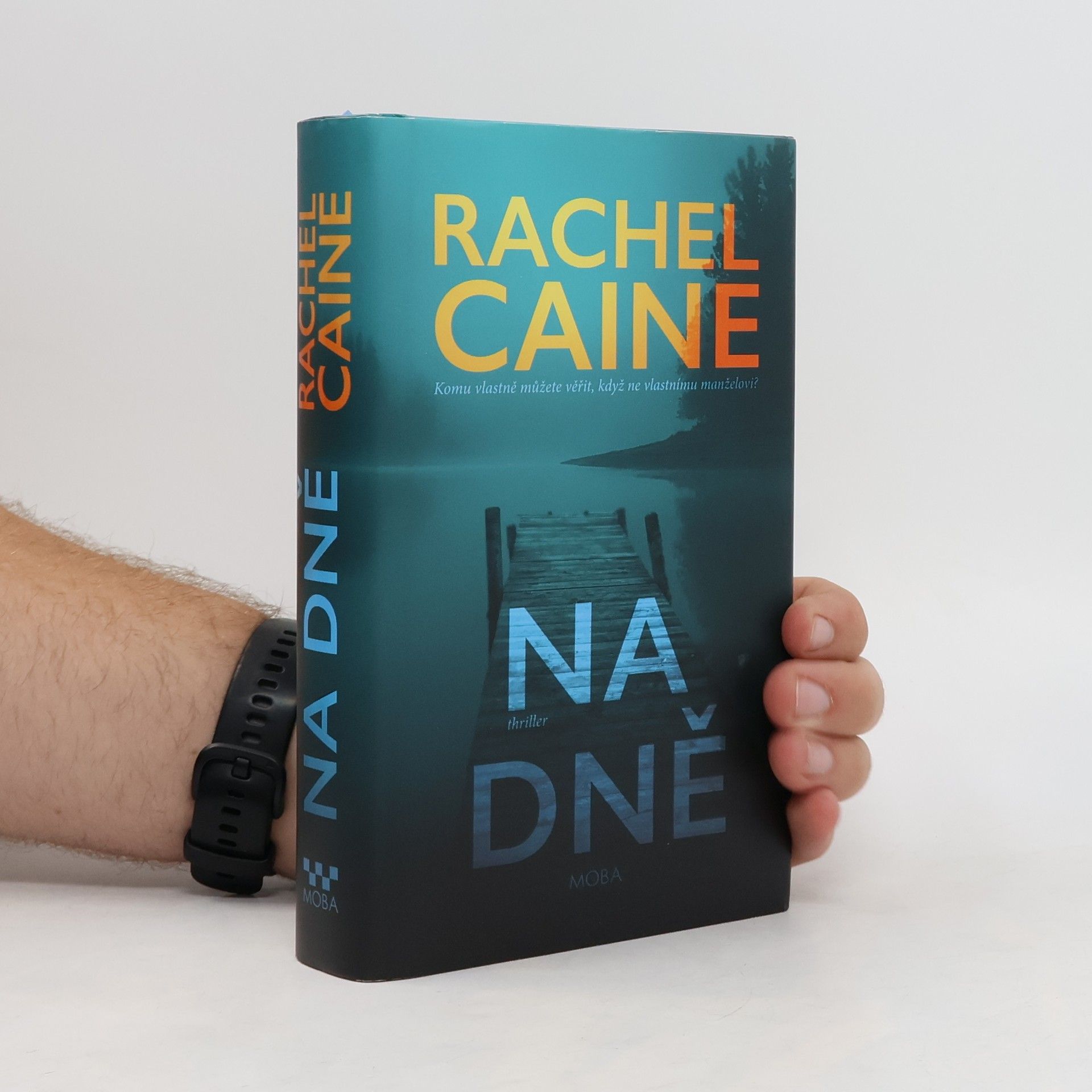 Rachel Caine Na dně