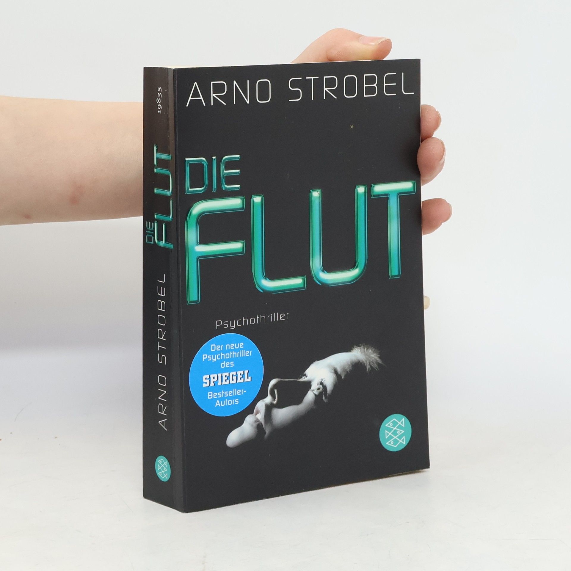 Arno Strobel Die Flut