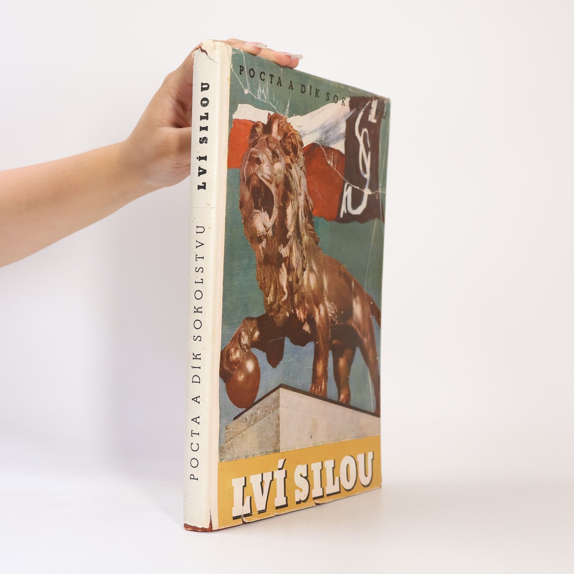 Autorenkollektiv Lví silou. Pocta a dík Sokolstvu