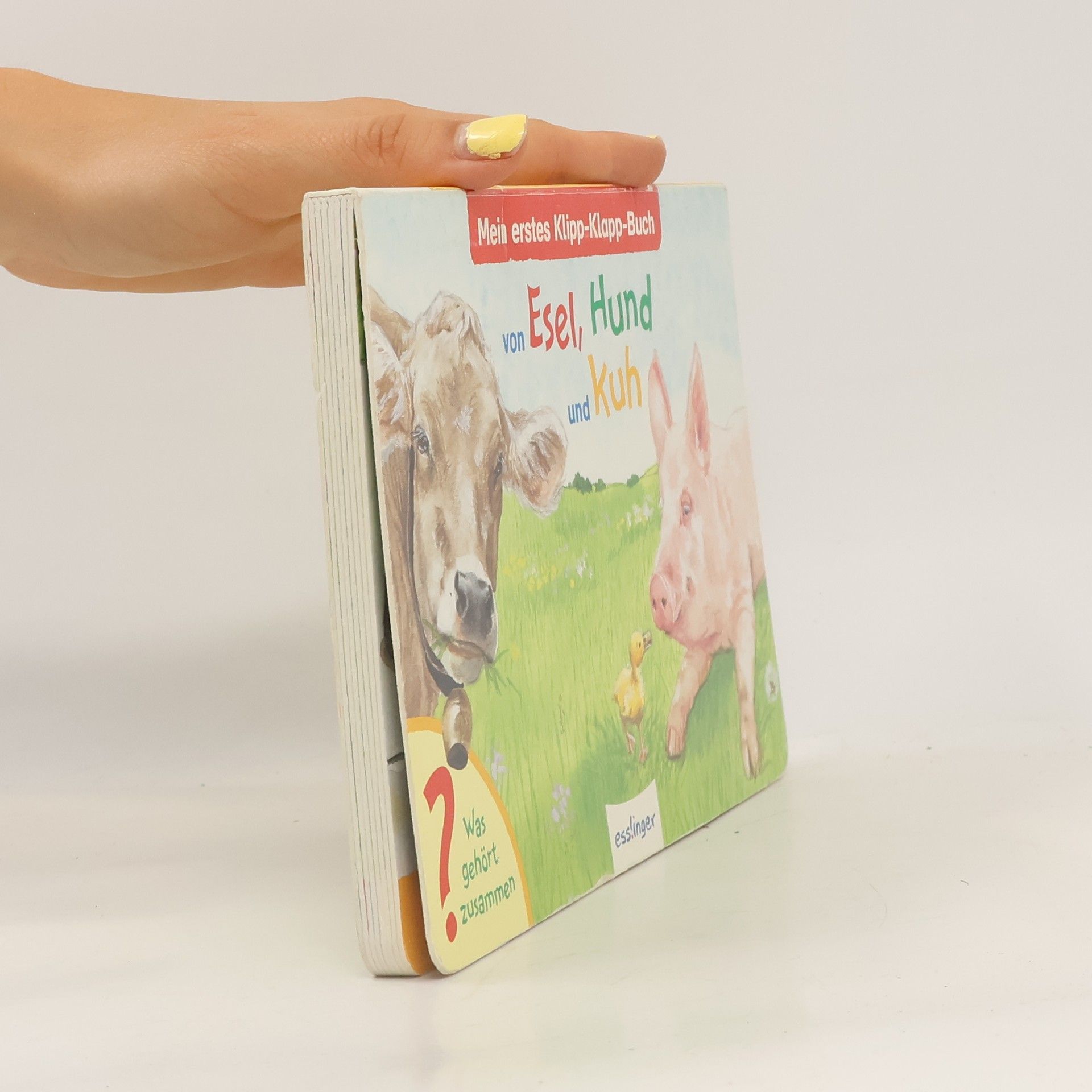 Unknown Author Mein erstes Klipp-Klapp-Buch von Esel, Hund und Kuh