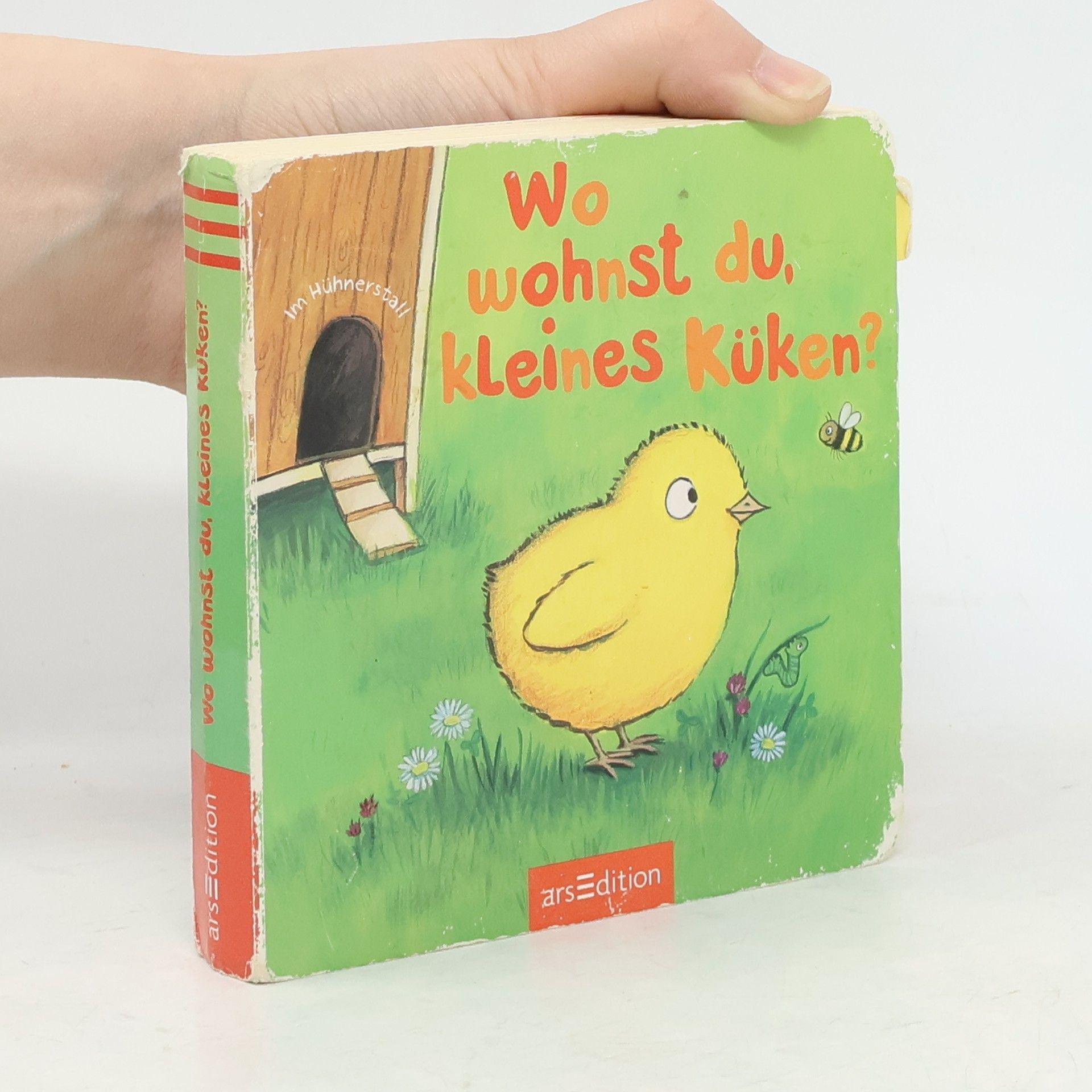 Wo wohnst du, kleines Küken?