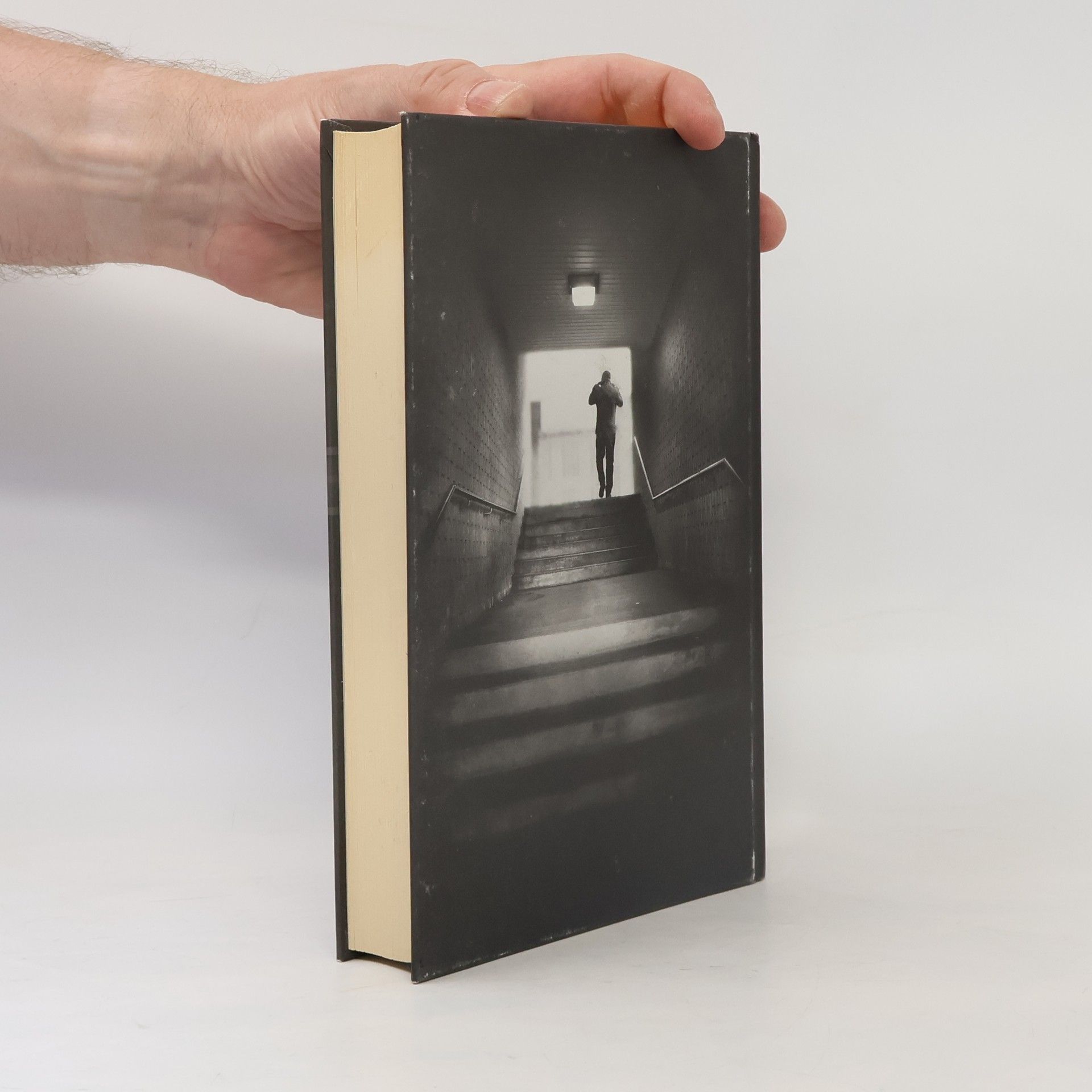 Paula Hawkins Dívka ve vlaku