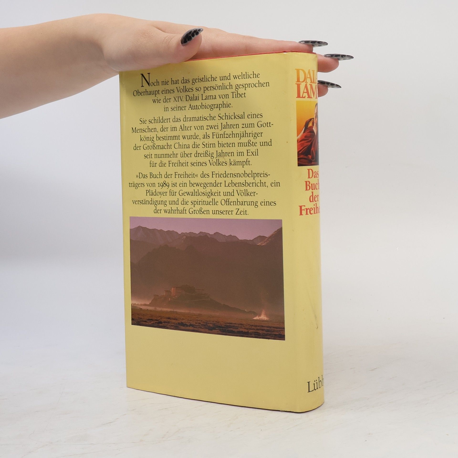 Bstan-vdzin-rgya-mtsho Das Buch der Freiheit