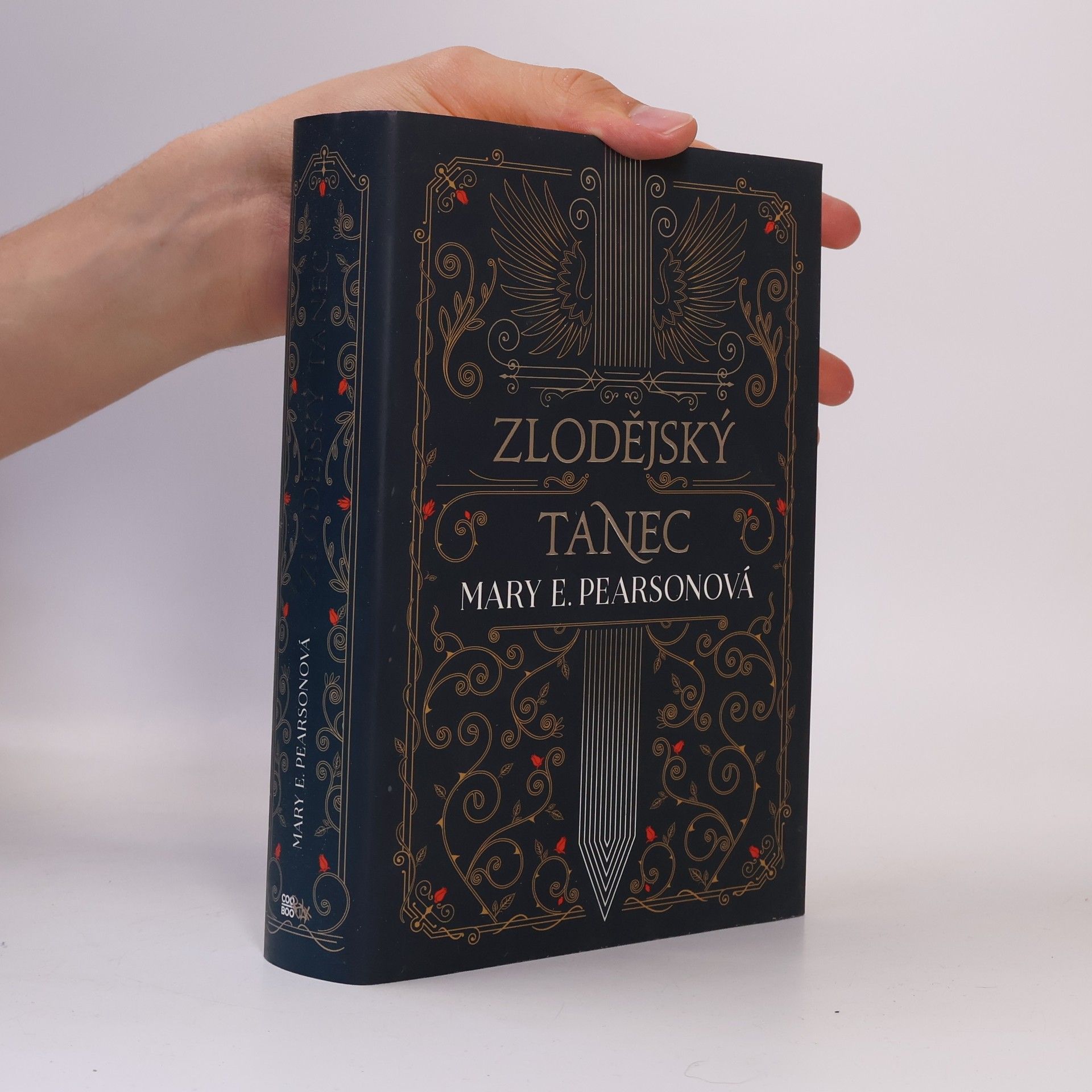 Mary E. Pearson Zlodějský tanec