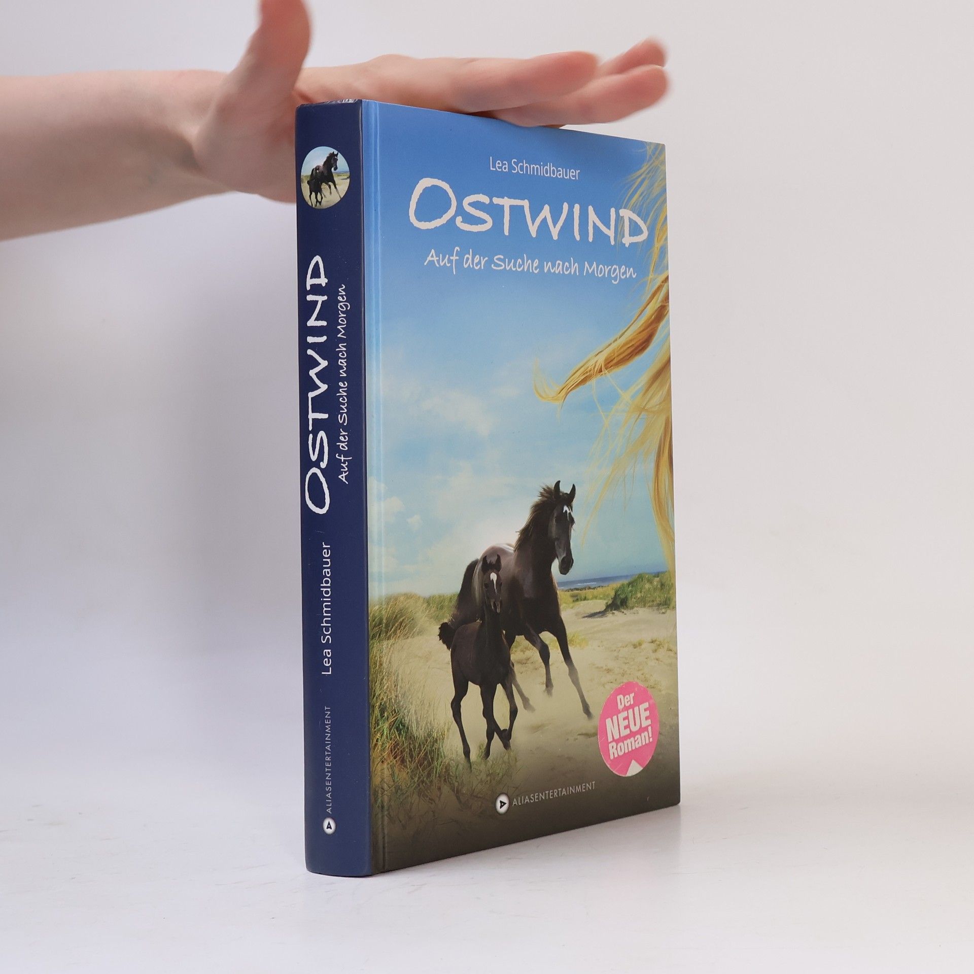 Lea Schmidbauer Ostwind - auf der Suche nach Morgen
