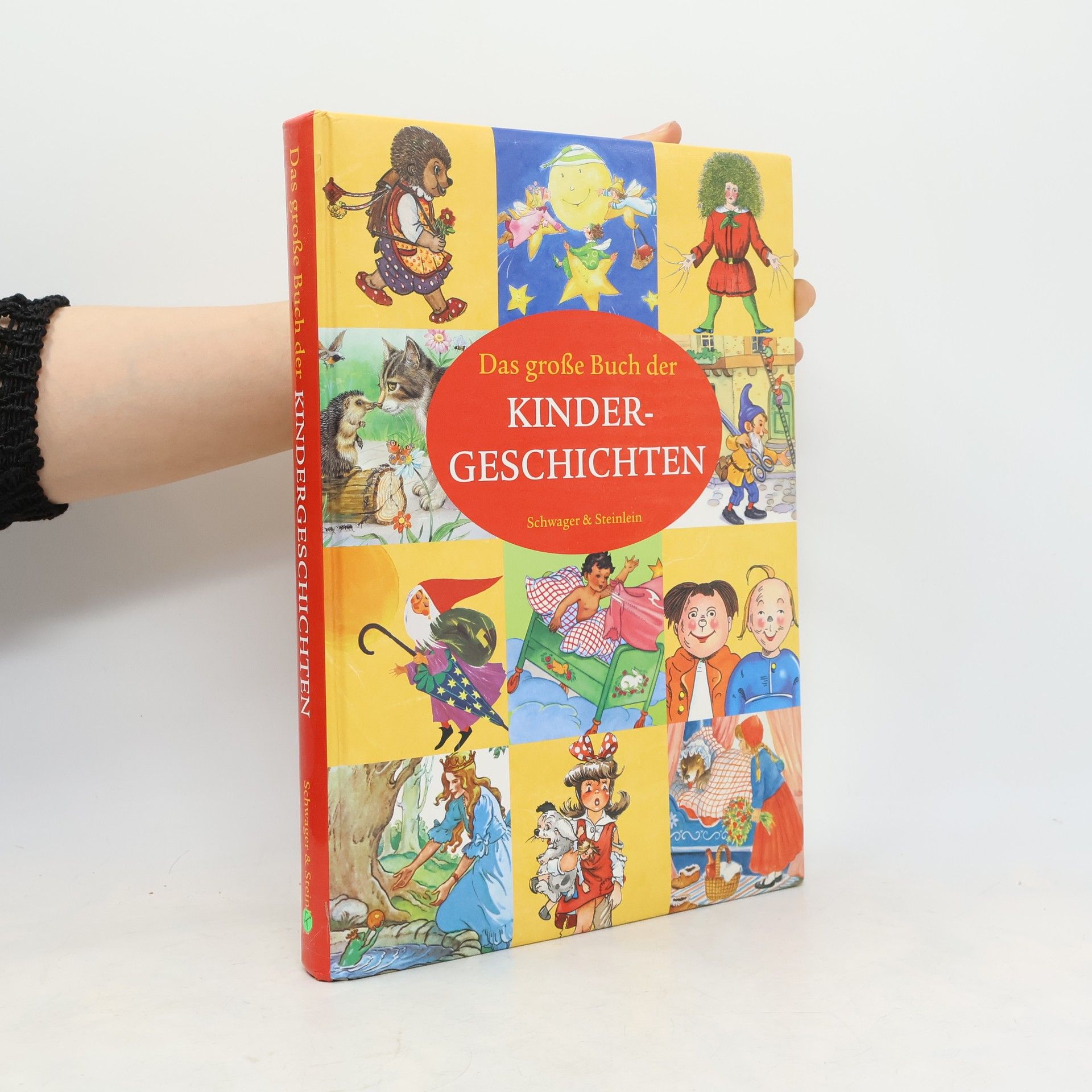 Autorenkollektiv Das grosse Buch der Kindergeschichten