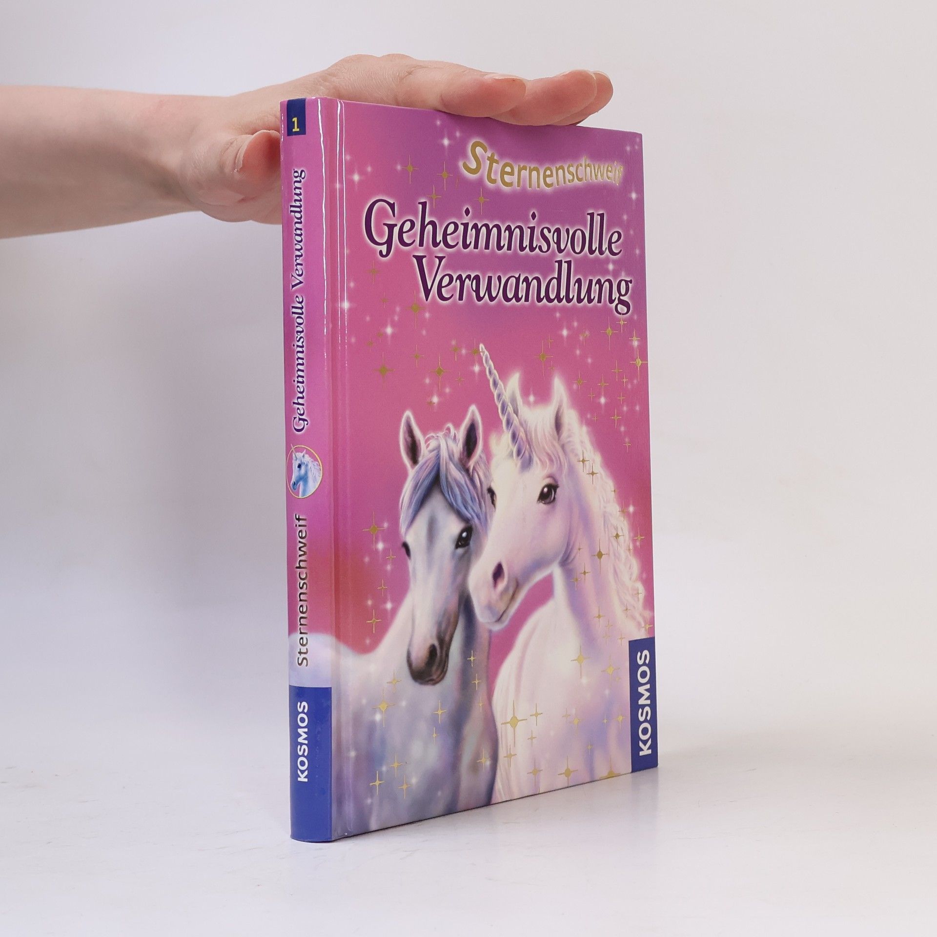 Linda Chapman Geheimnisvolle Verwandlung