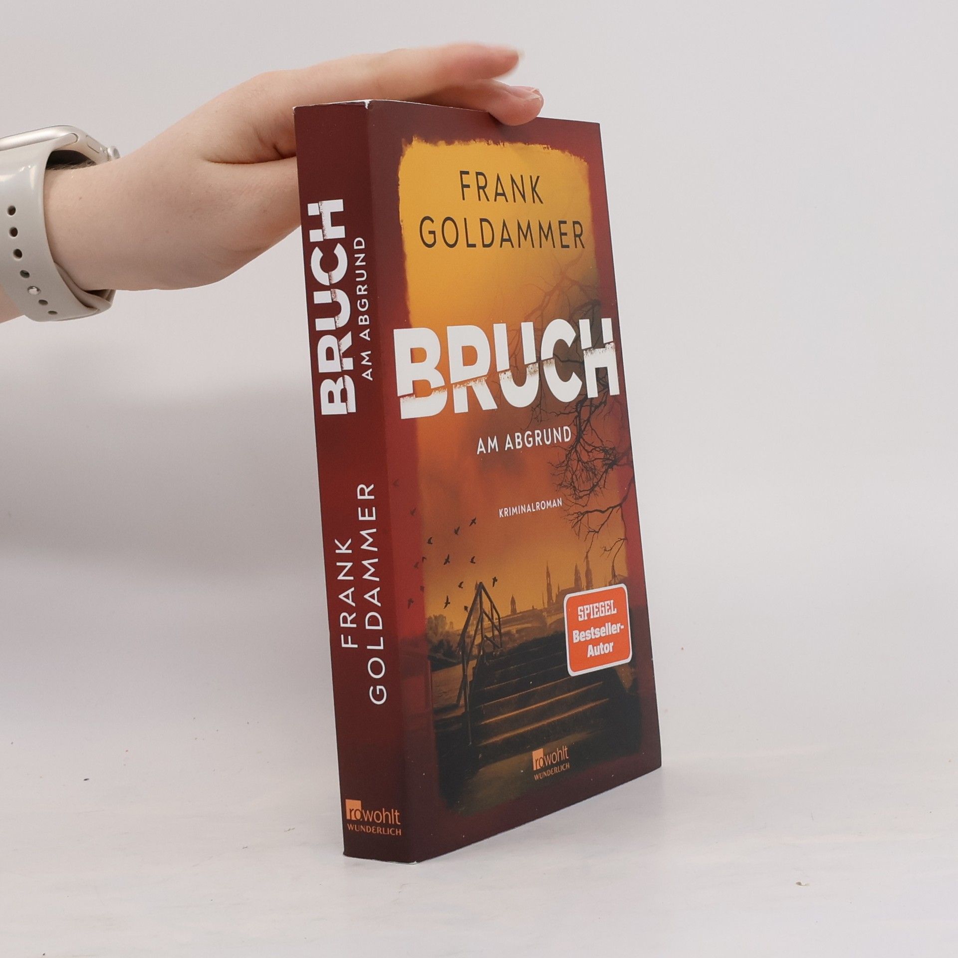 Frank Goldammer Felix Bruch - 4: Bruch: Am Abgrund