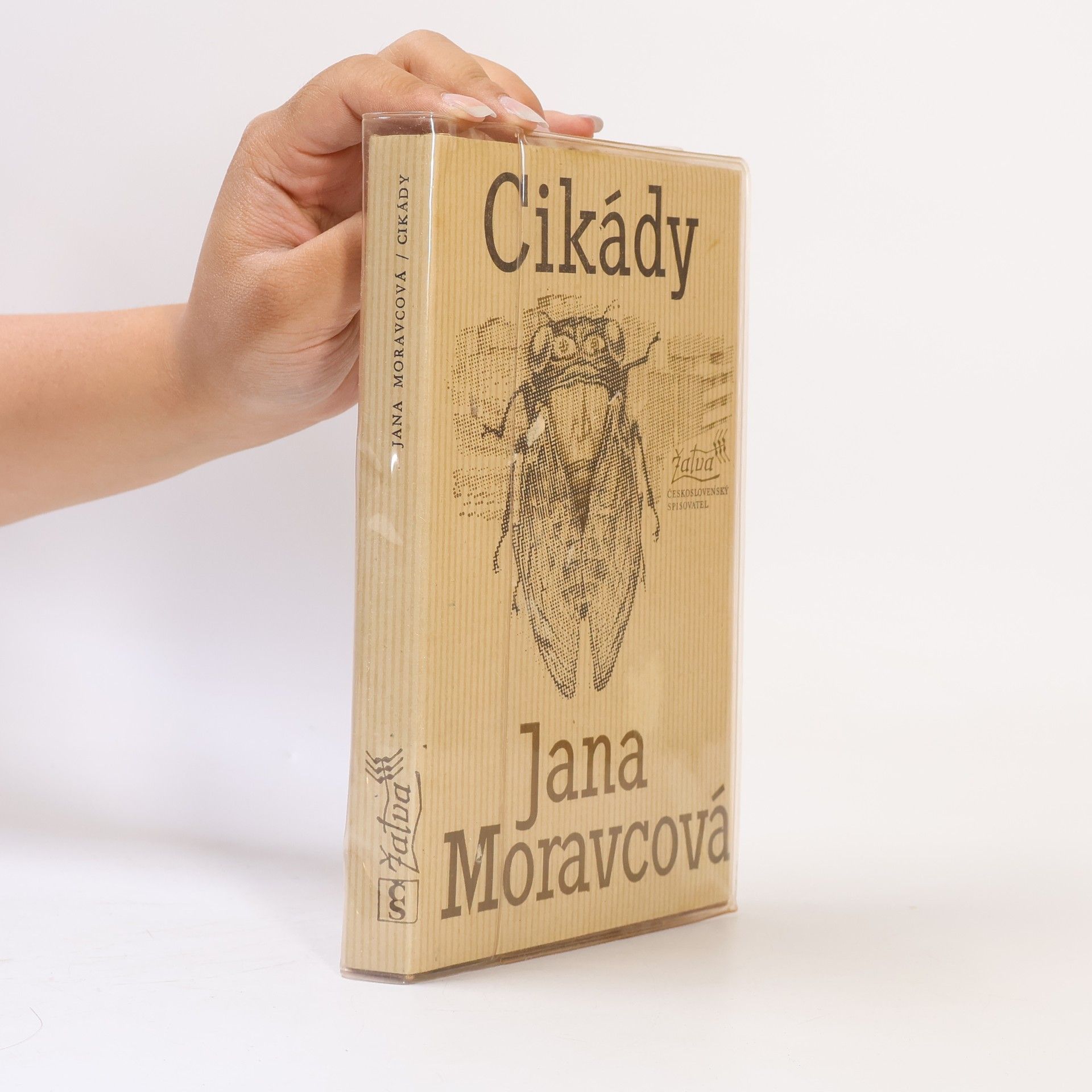 Cikády