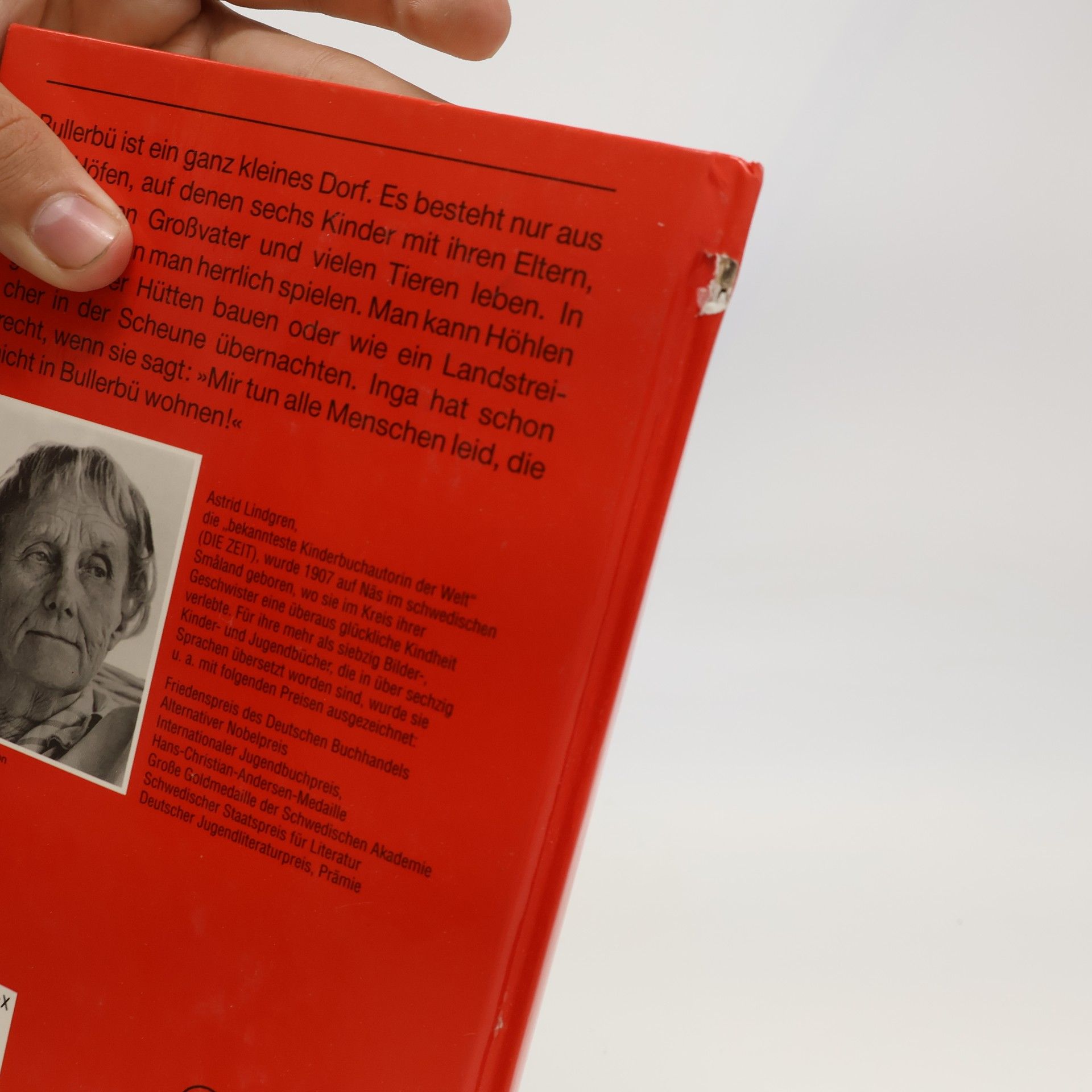 Astrid Lindgren Wir Kinder aus Bullerbü