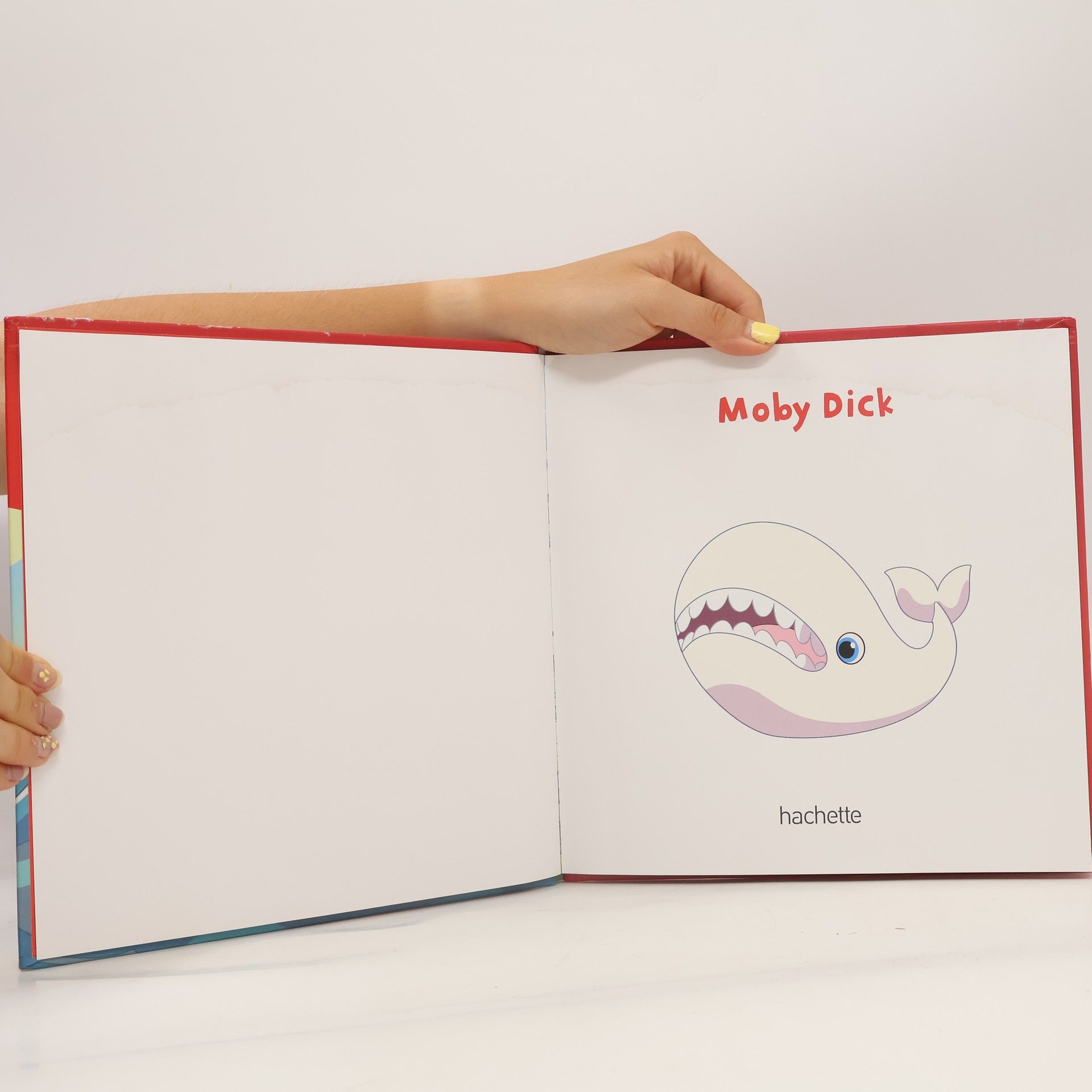 Autorenkollektiv Moby Dick