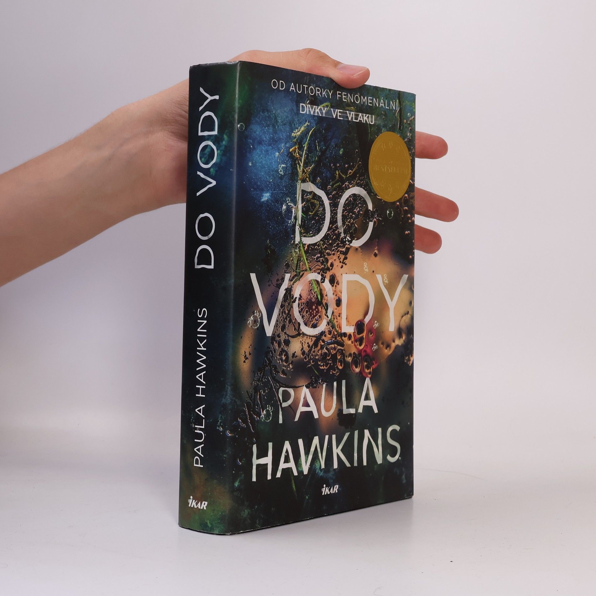 Paula Hawkins Do vody