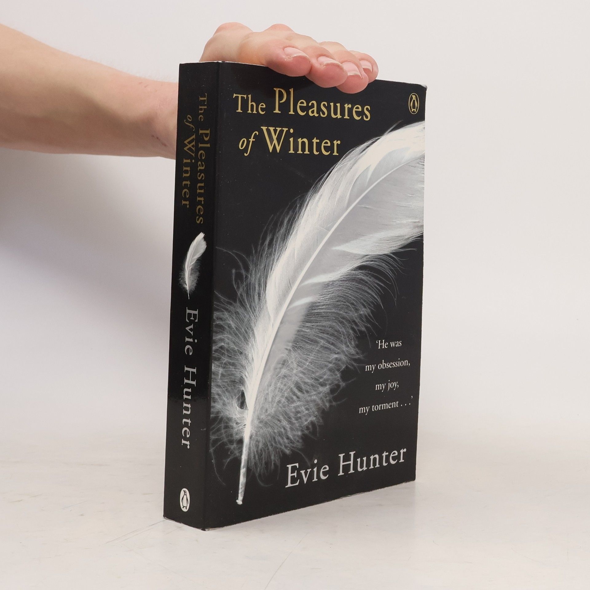 Evie Hunter The Pleasures of Winter