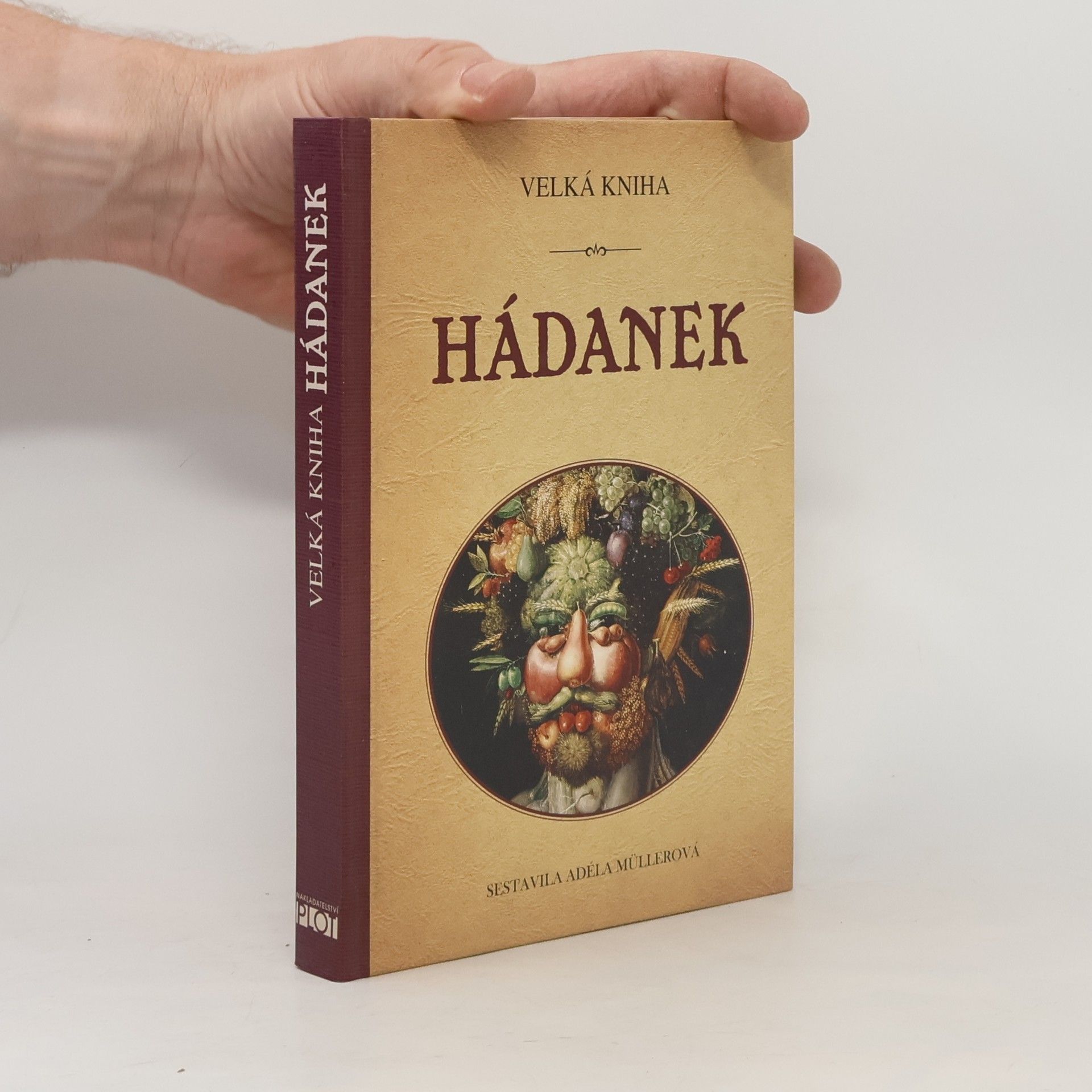 Adéla Müllerová Velká kniha hádanek