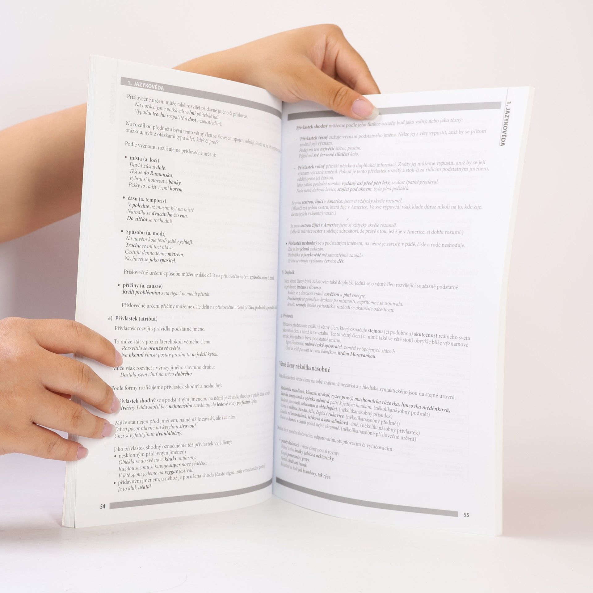 Karina Matějů Maturitní otázky – Český jazyk