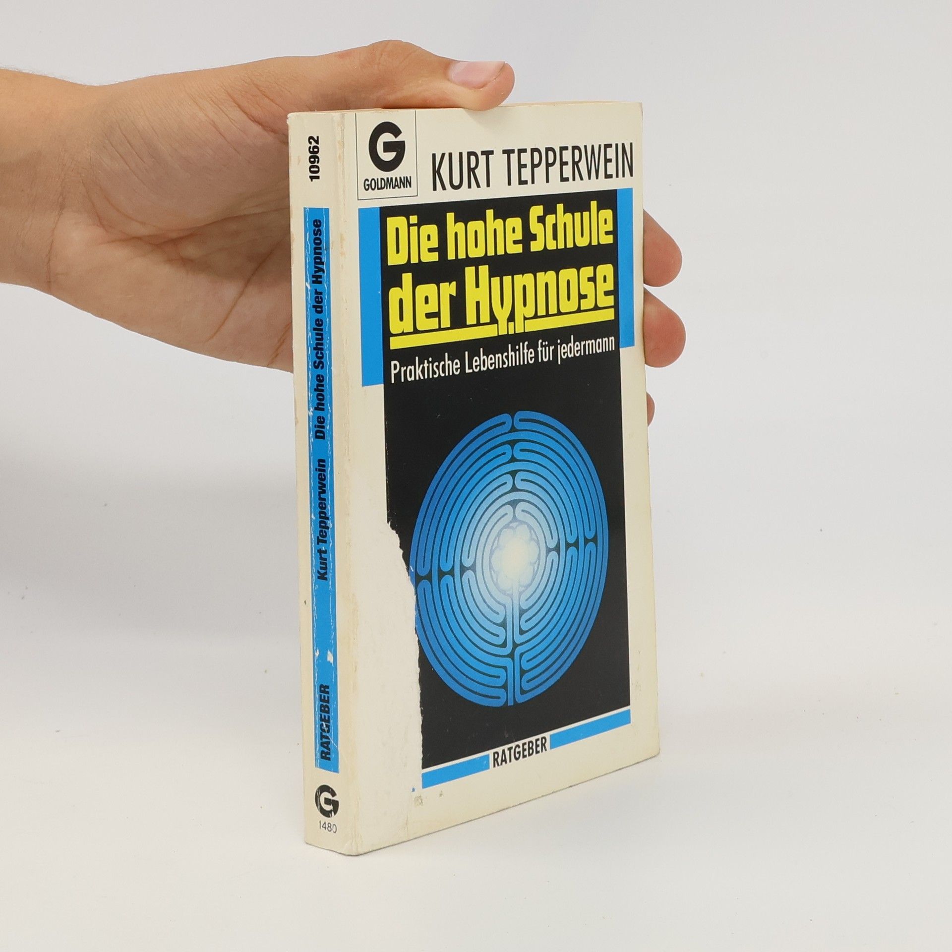 Kurt Tepperwein Die hohe Schule der Hypnose