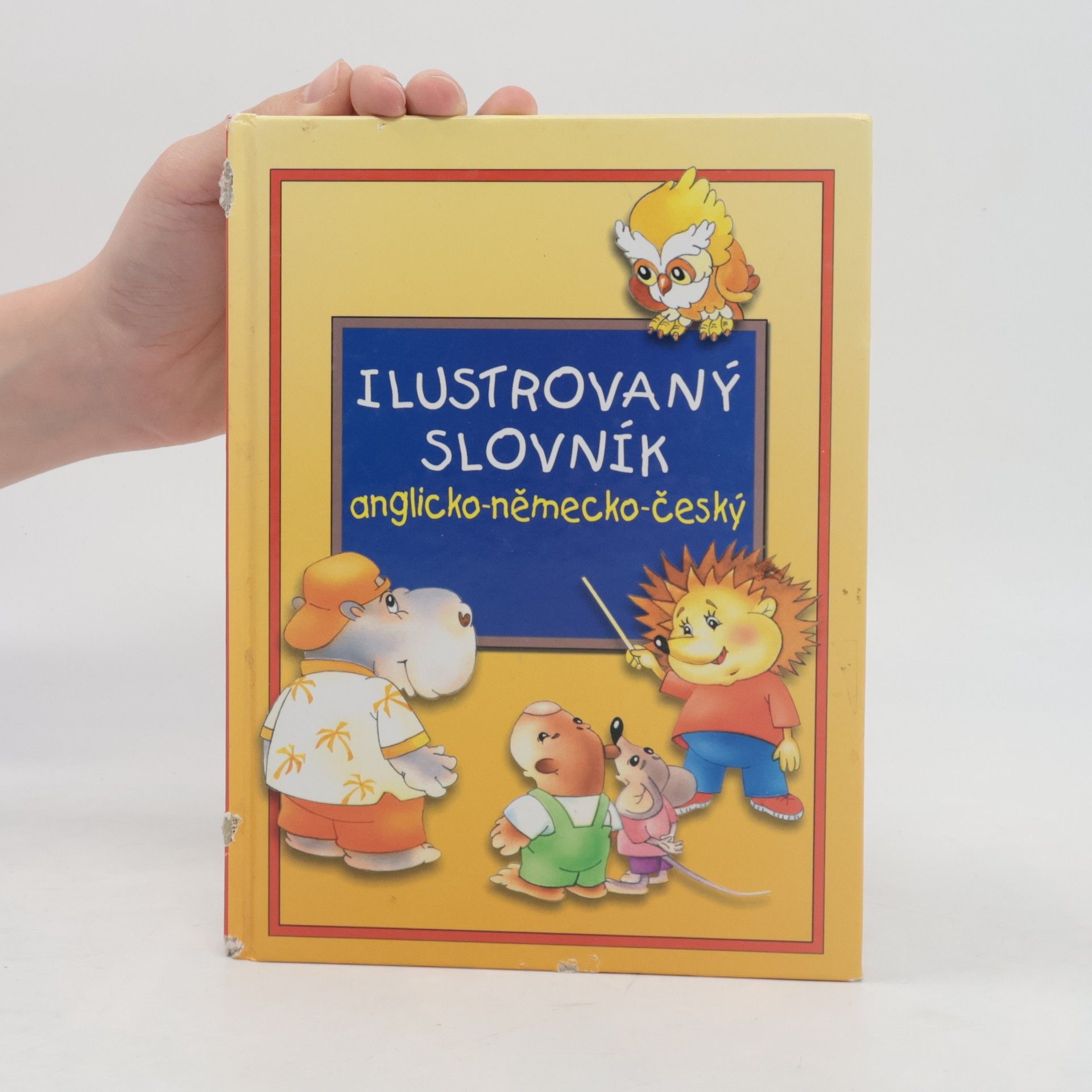 Alena Amchová Ilustrovaný slovník anglicko-německo-český