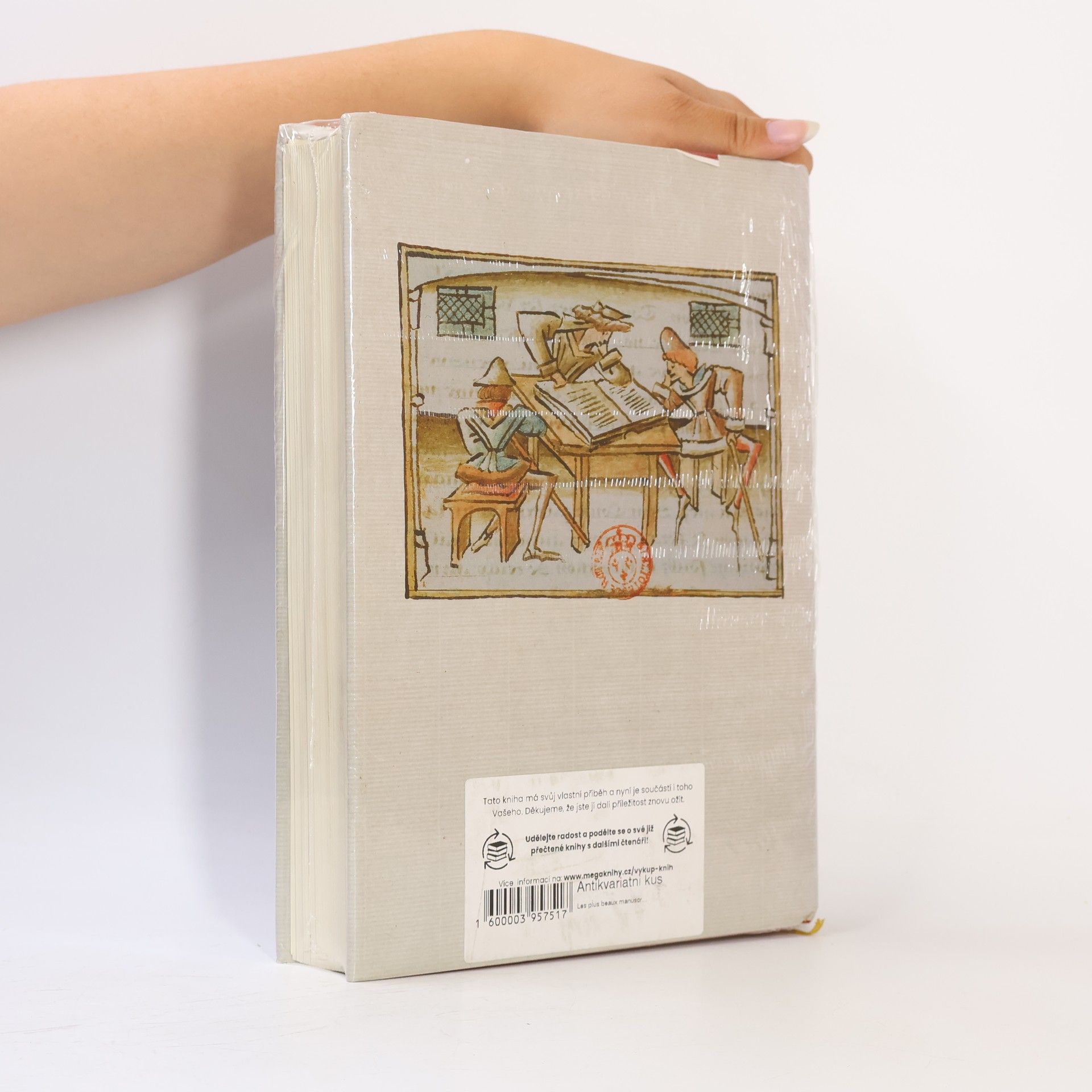 Annie Angremy Les plus beaux manuscrits des romanciers français