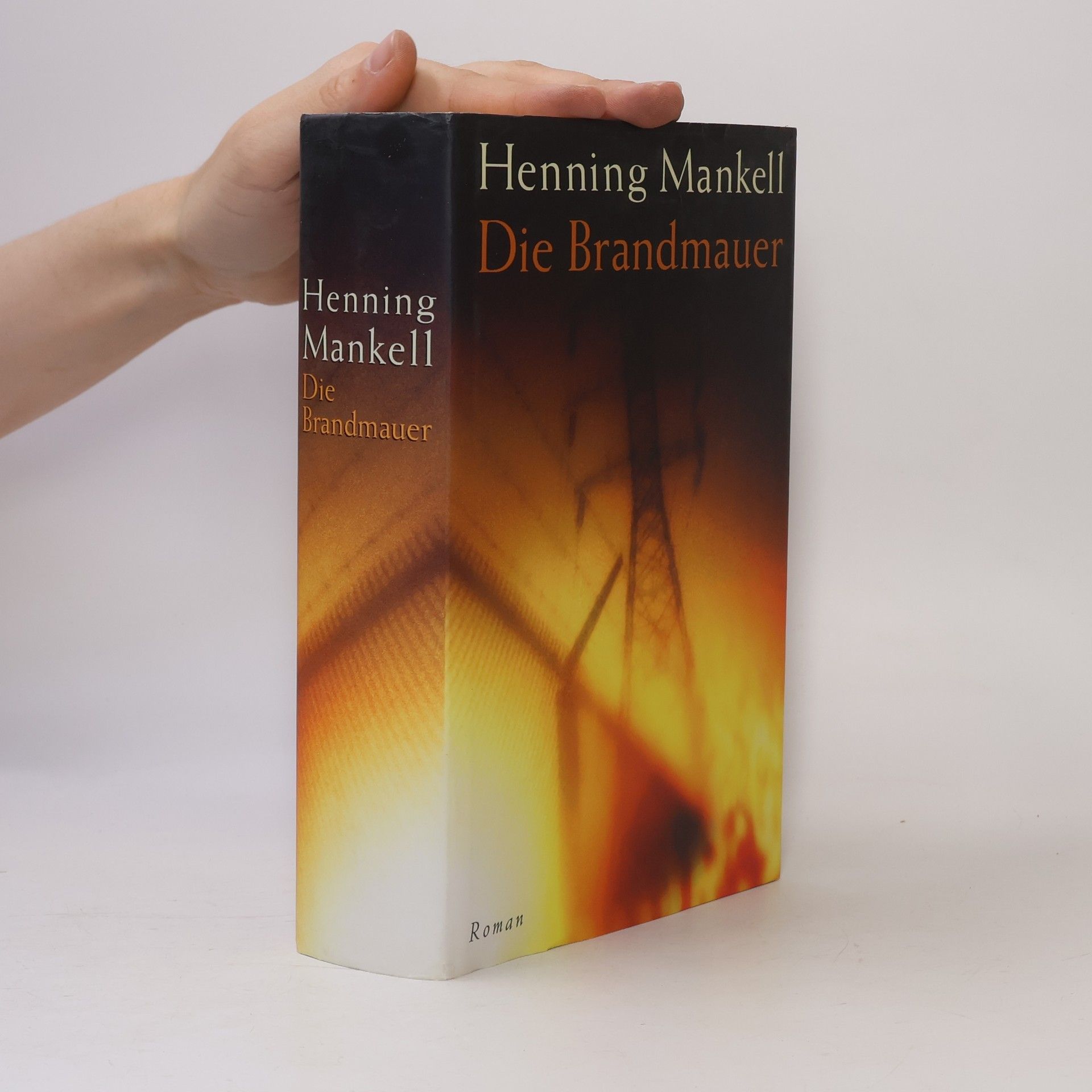 Henning Mankell Die Brandmauer