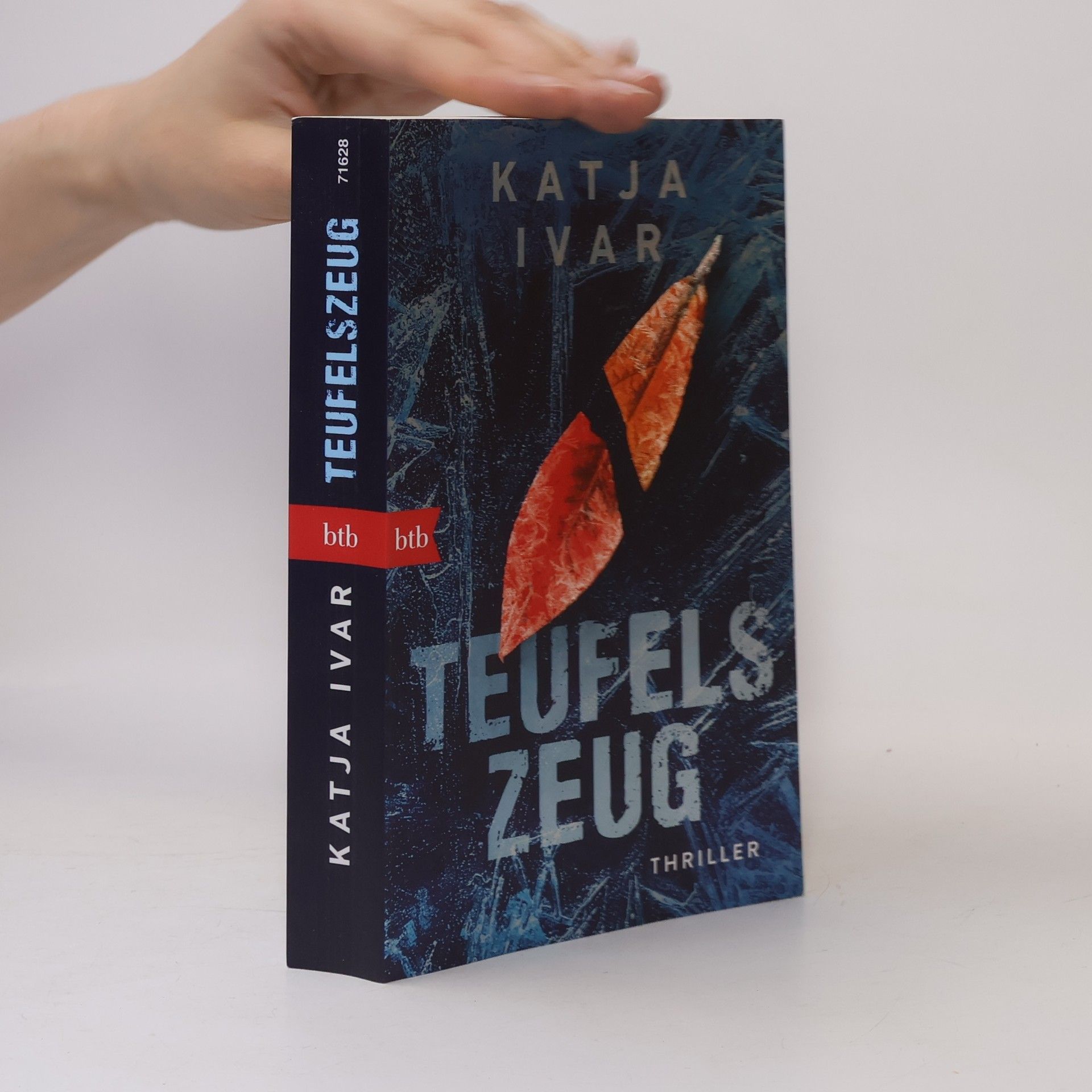 Katja Ivar Teufelszeug