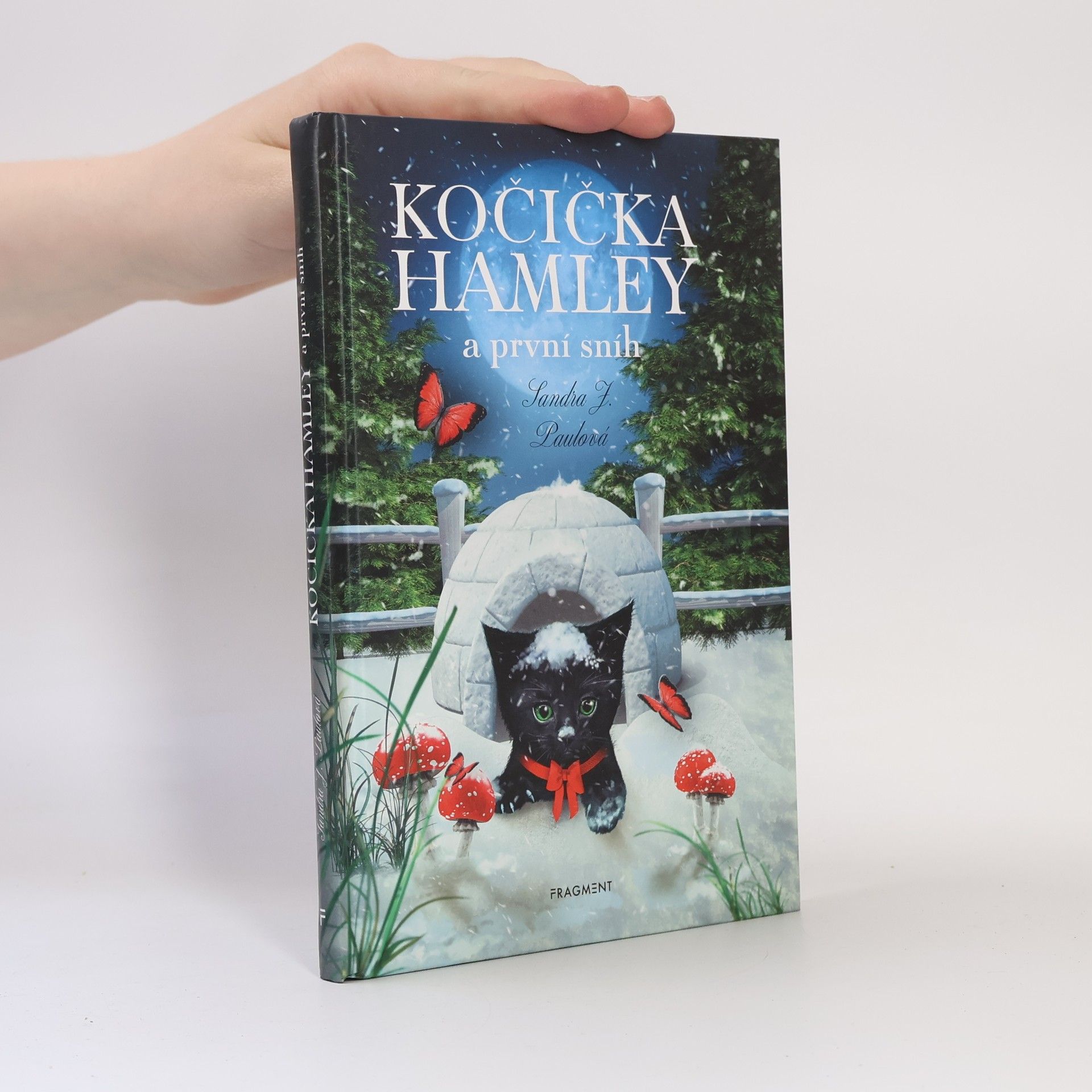 Sandra E Hockenbury Kočička Hamley a první sníh