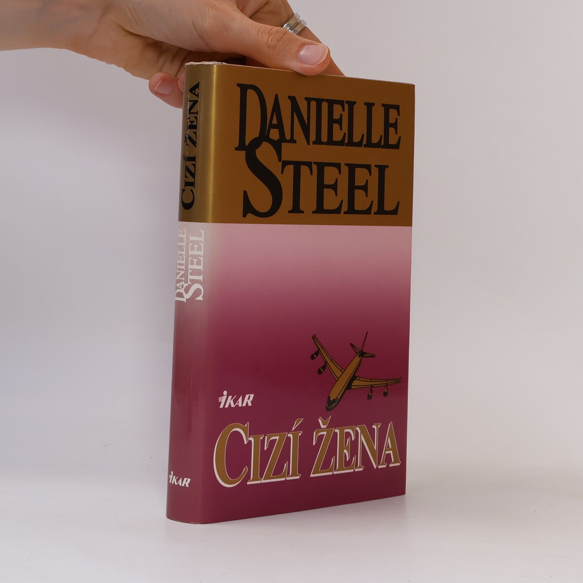 Danielle Steelová Cizí žena