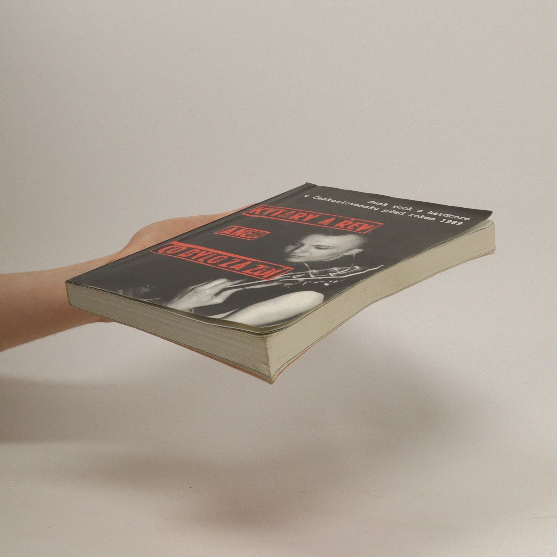 Various authors Kytary a řev aneb co bylo za zdí