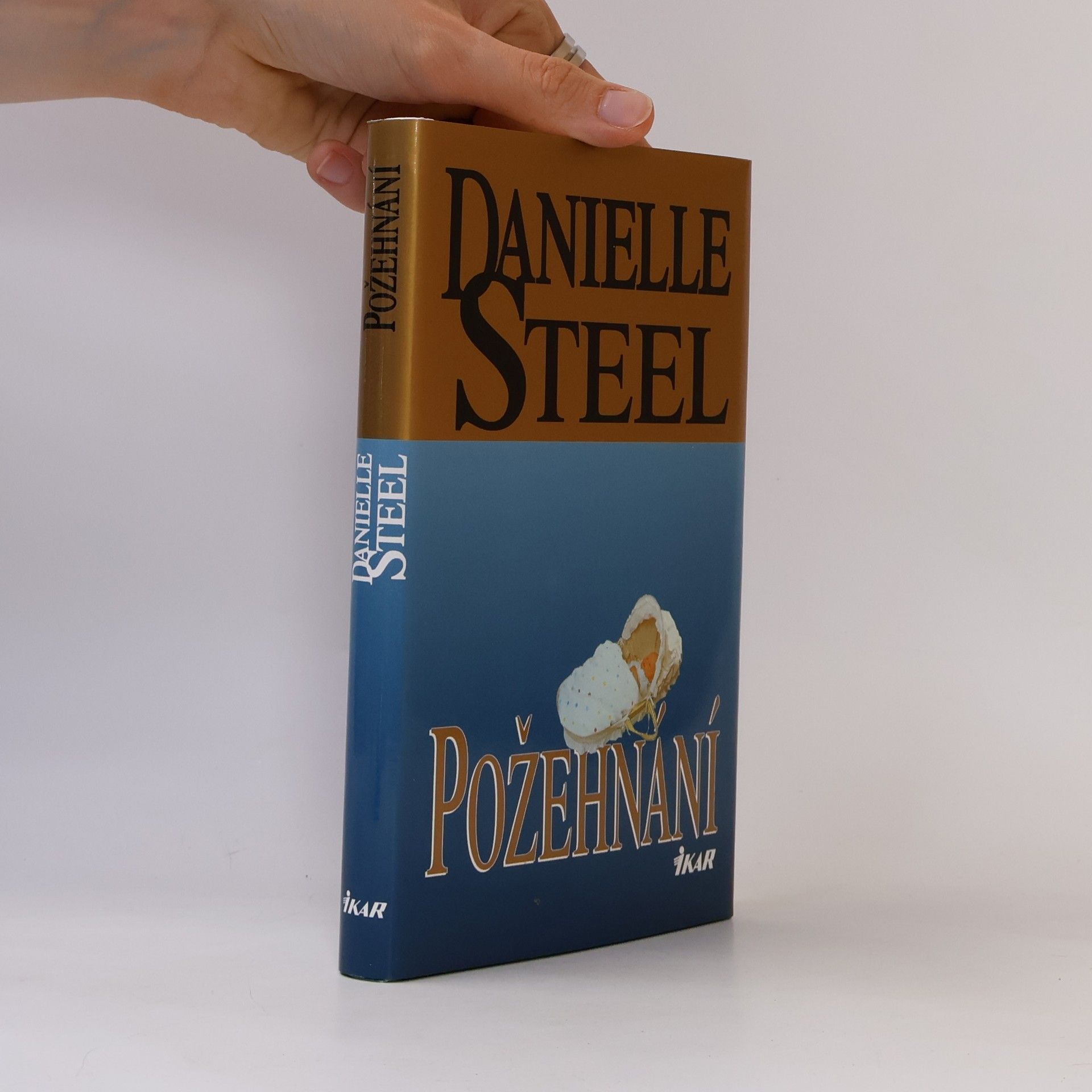 Danielle Steel Požehnání