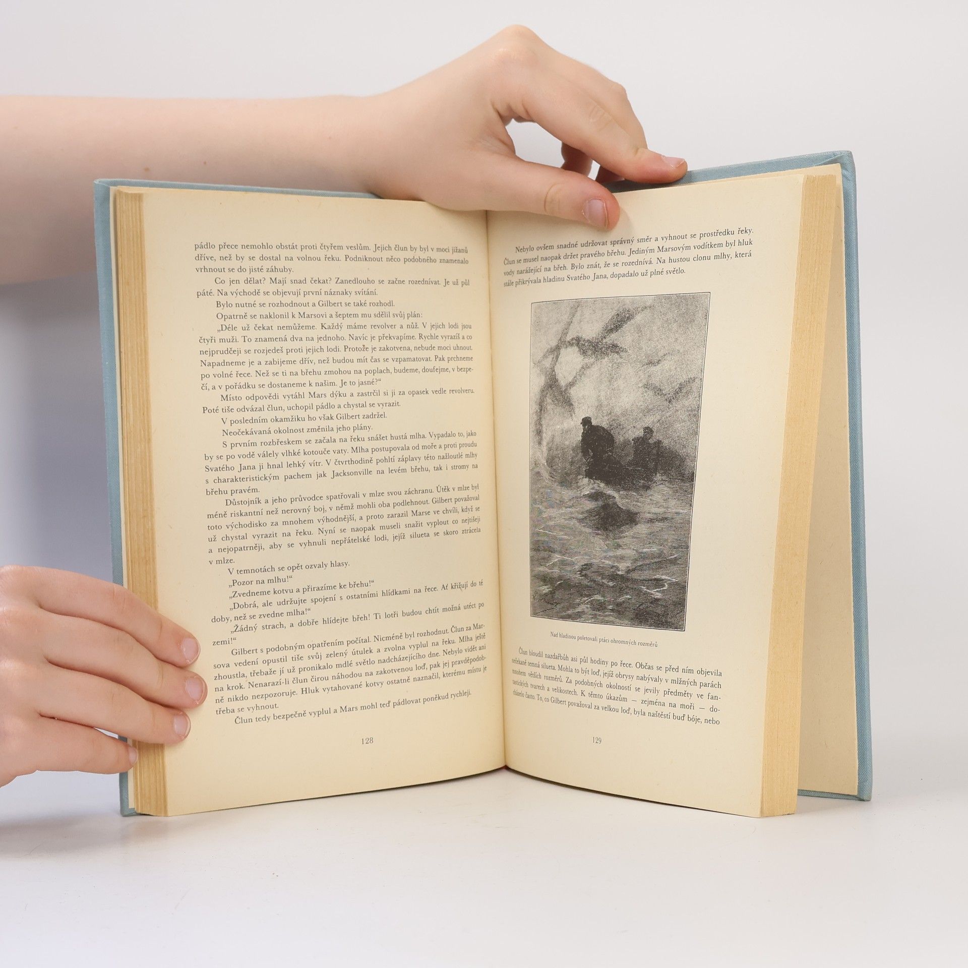 Jules Verne Sever proti Jihu