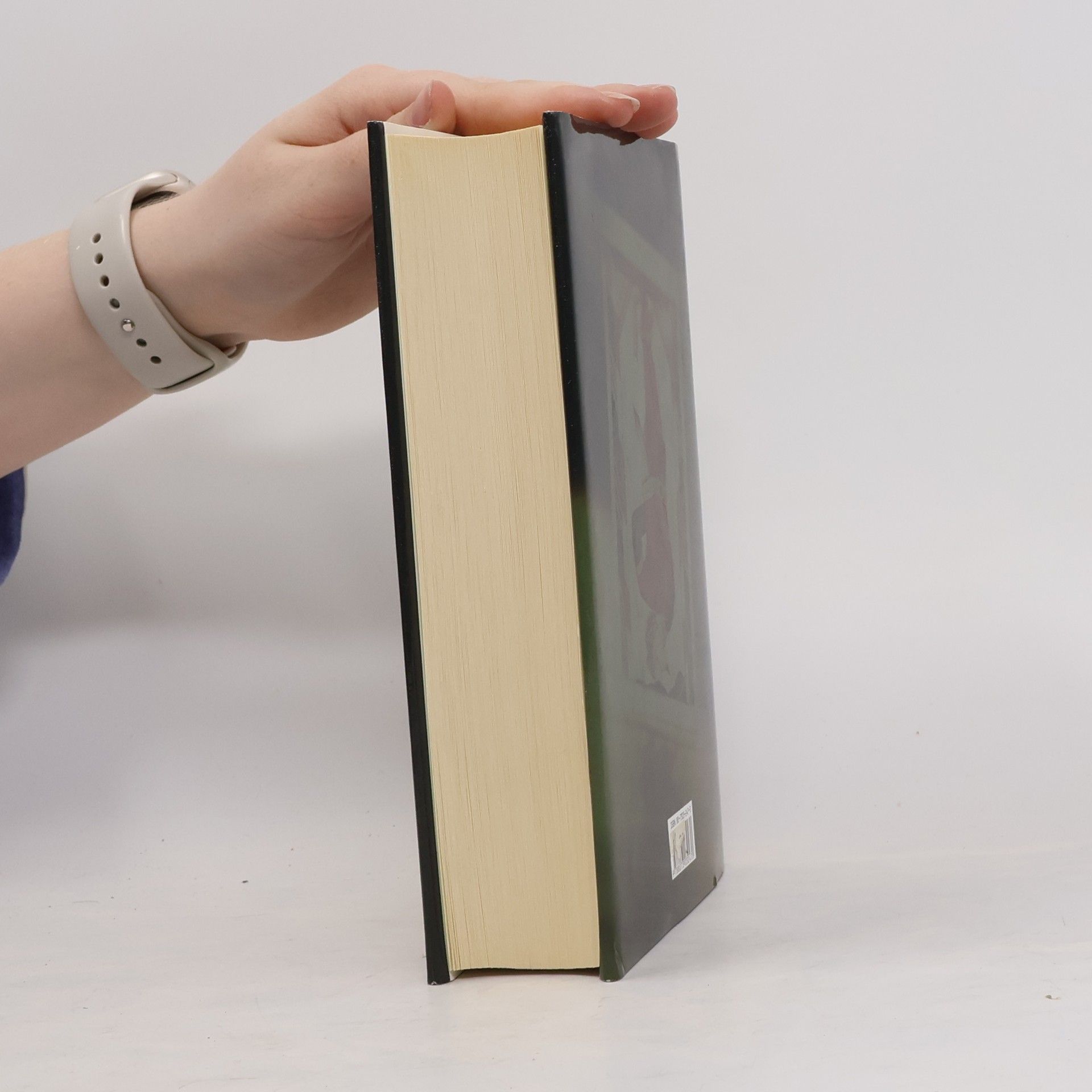Jeffery Deaver Dvanáctá karta
