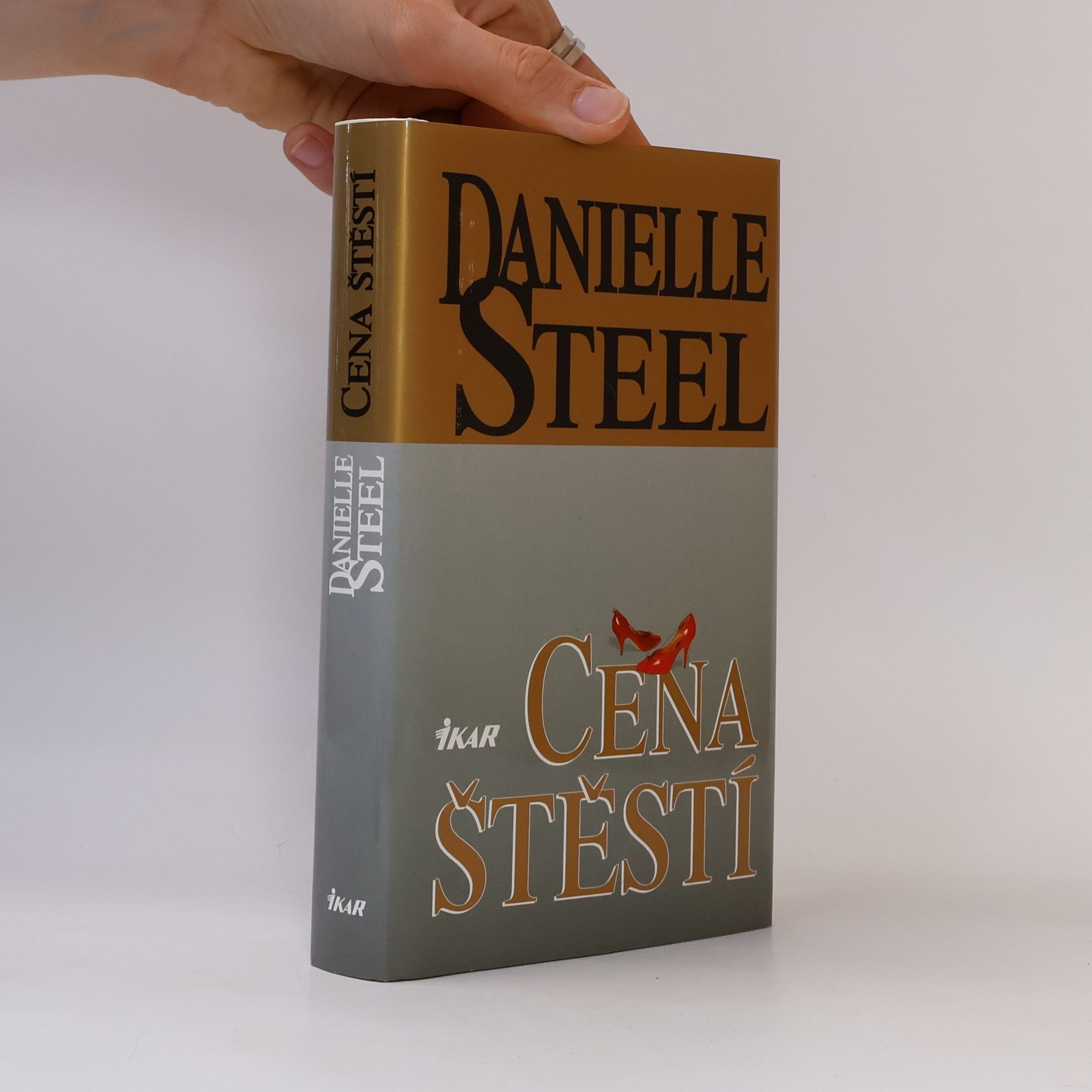 Danielle Steel Cena štěstí
