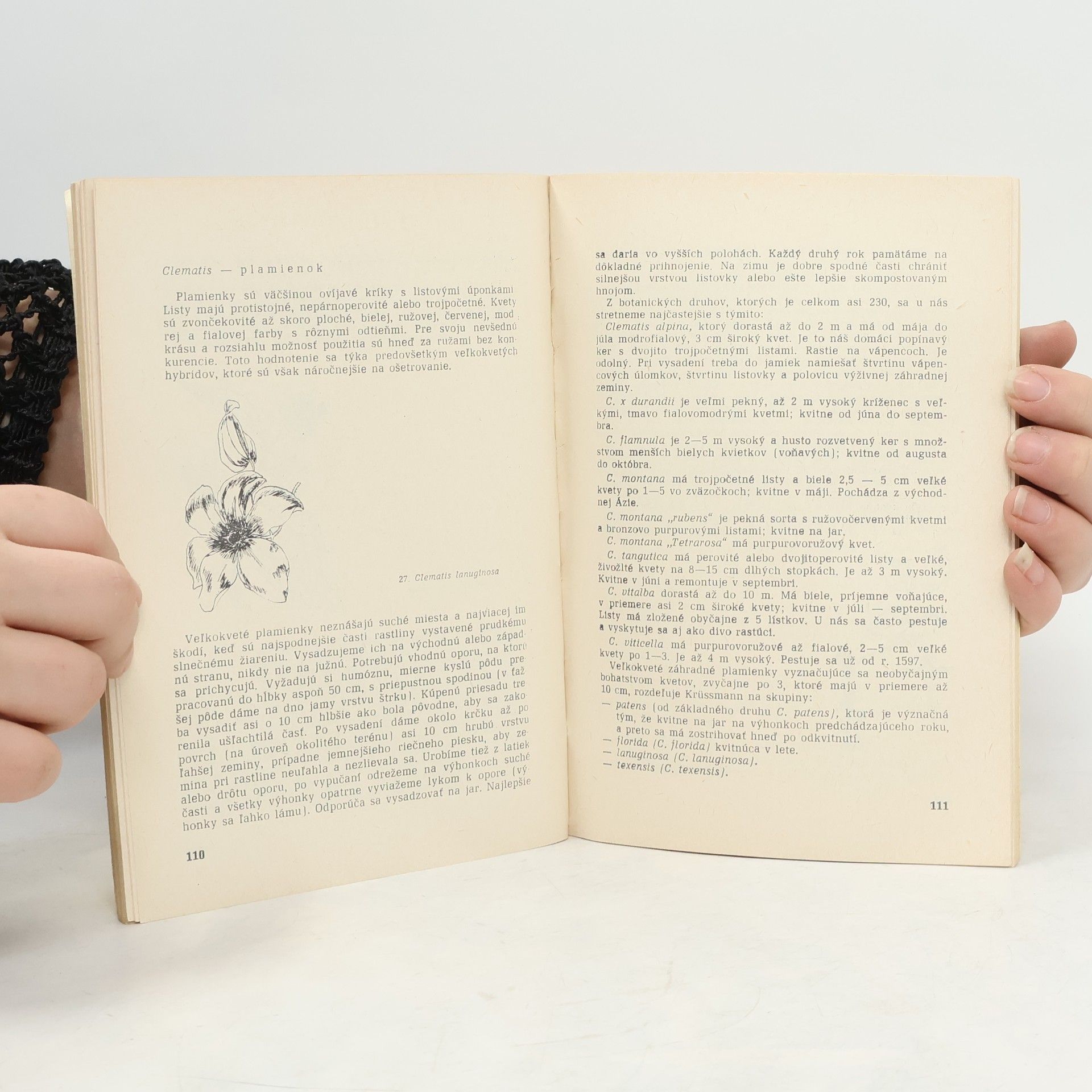 Various authors Poradca záhradkára 2